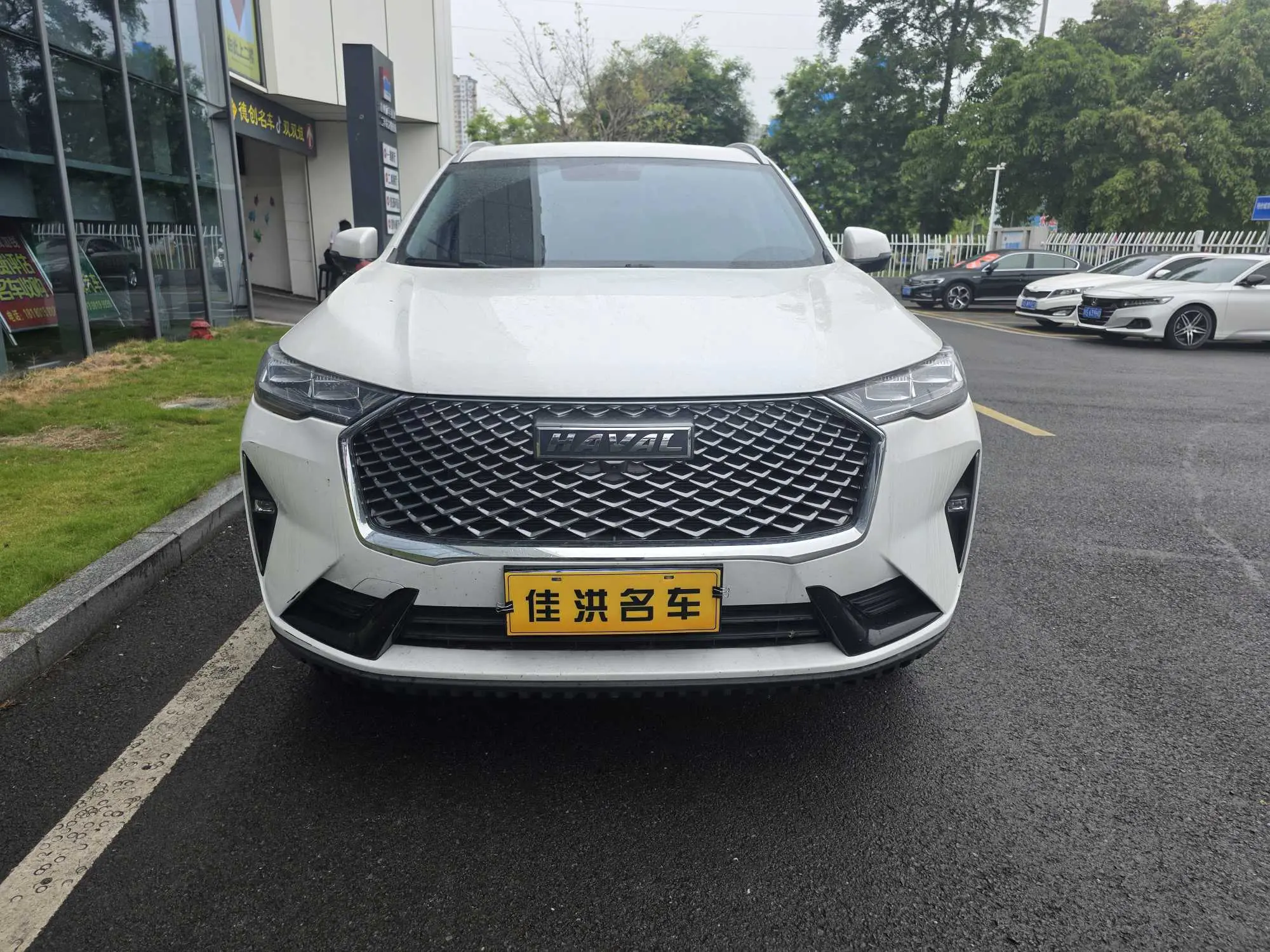 Haval H6