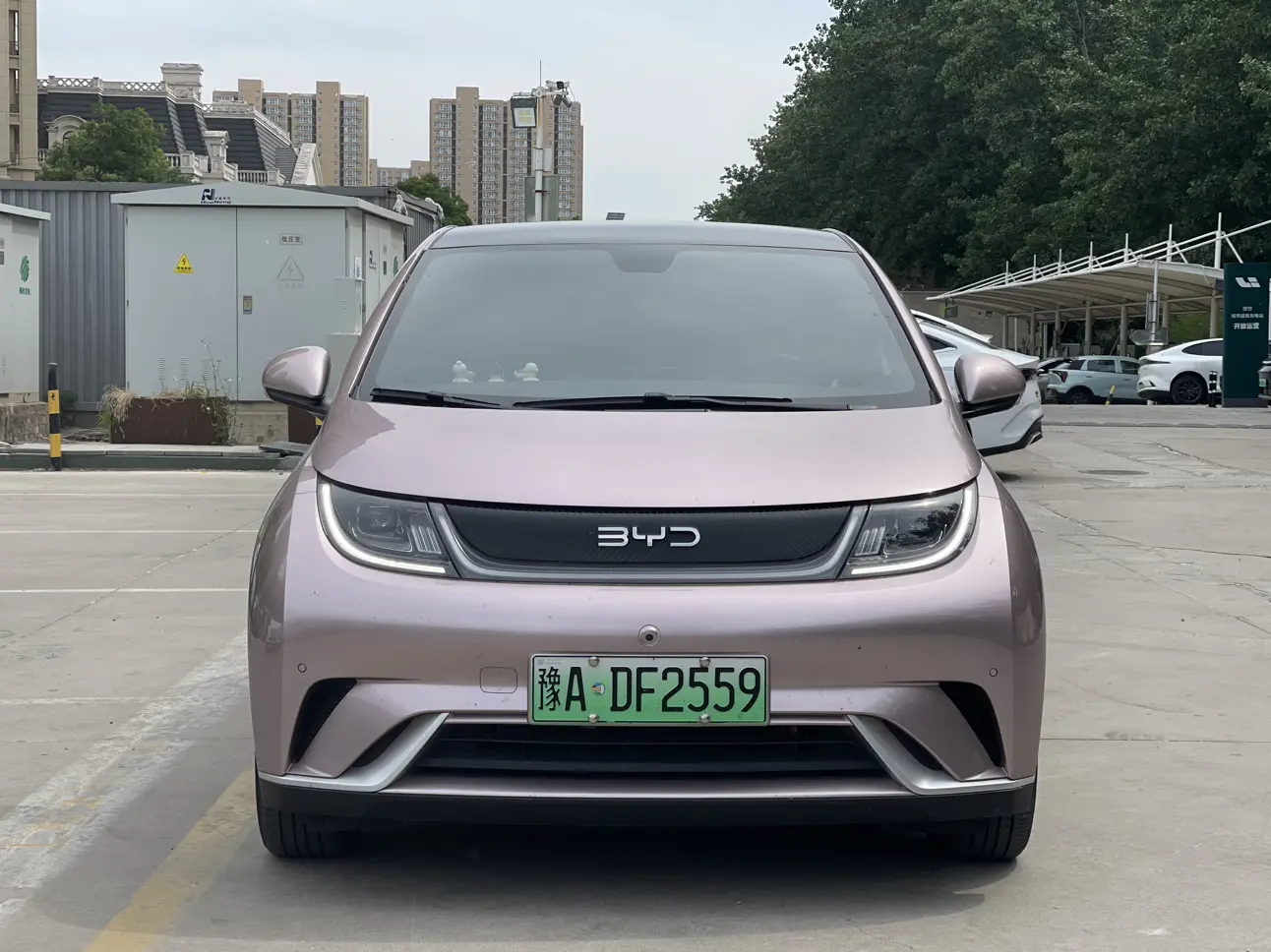 BYD Dolphin
