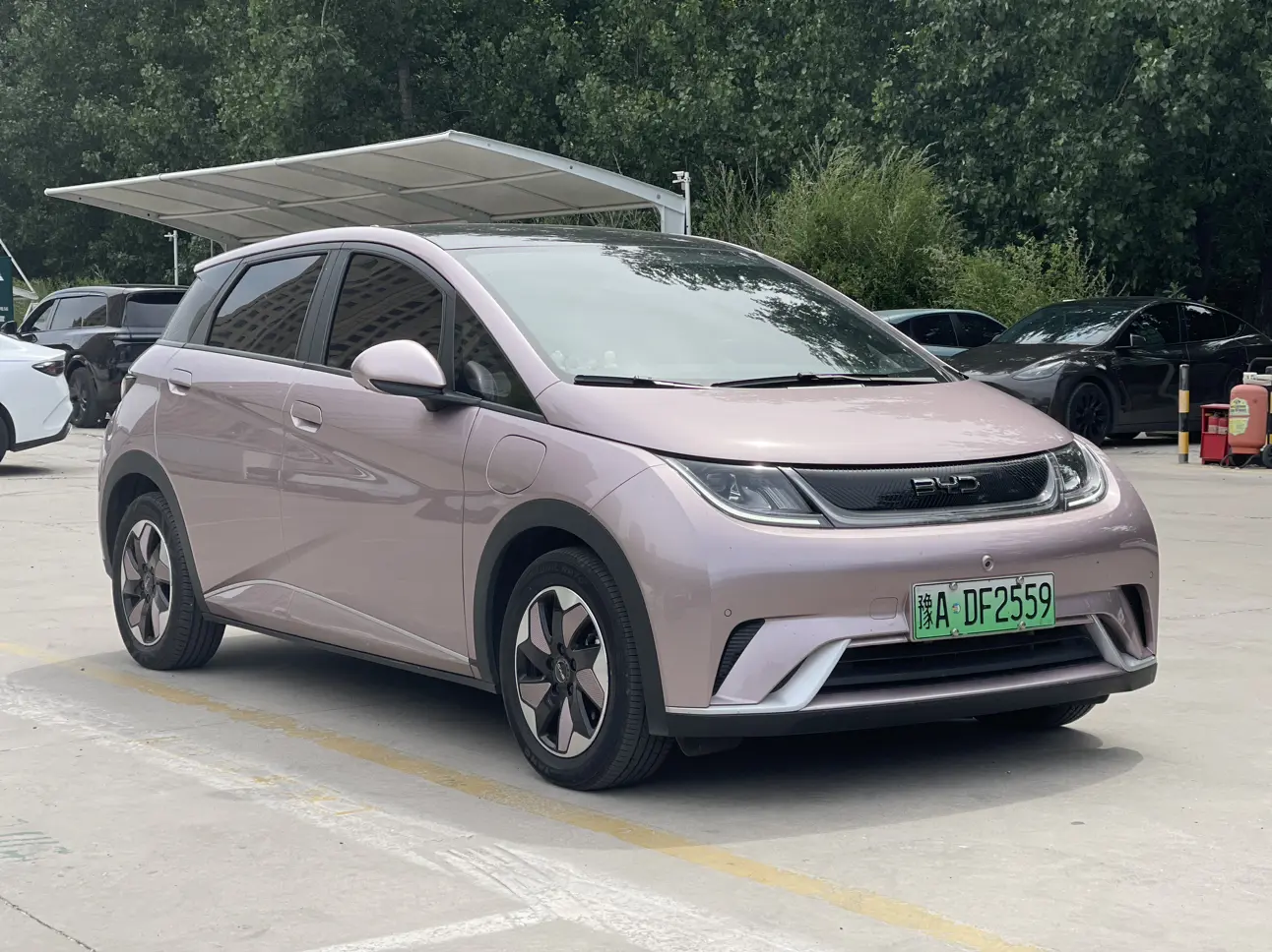 BYD Dolphin