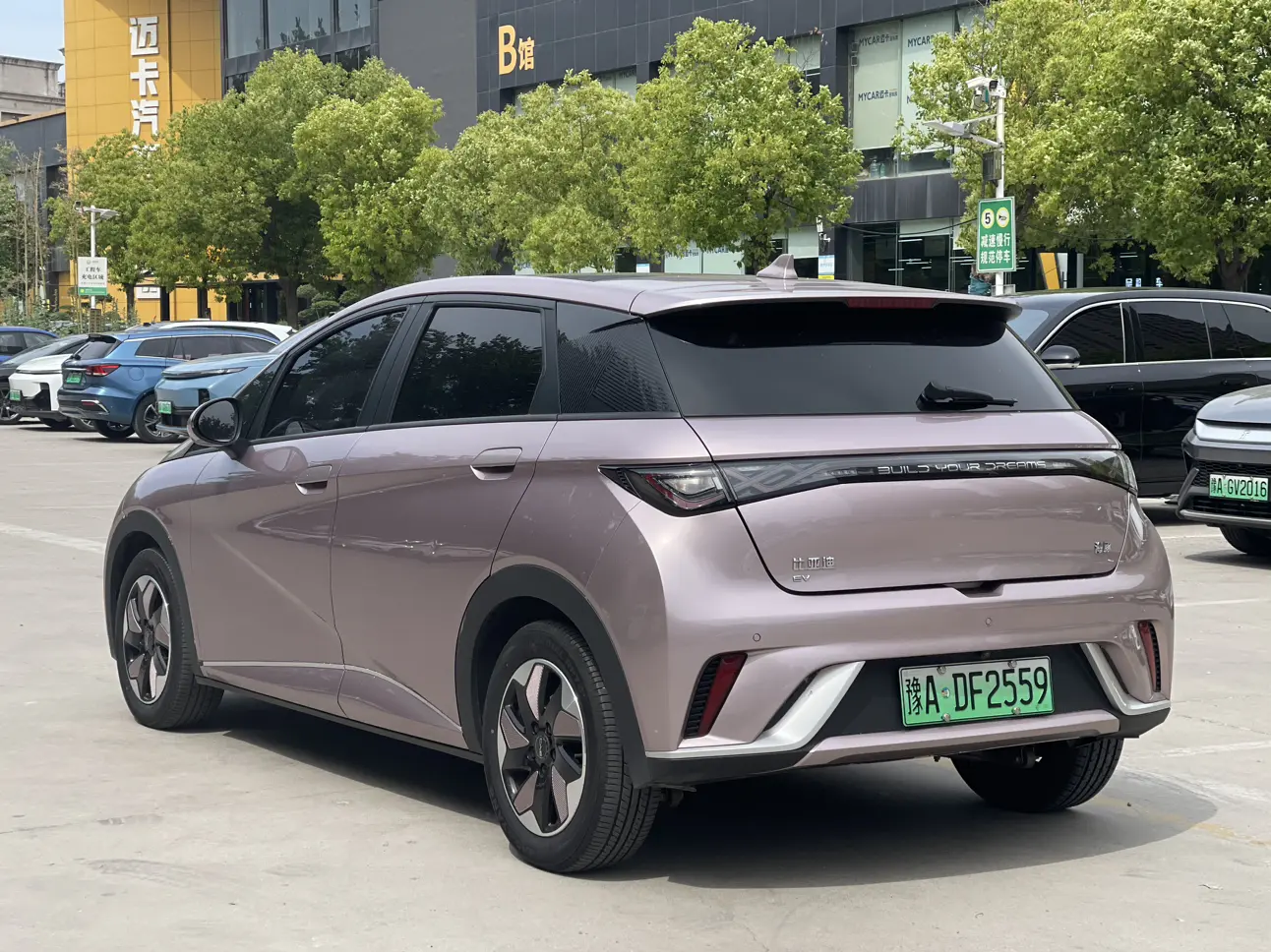 BYD Dolphin