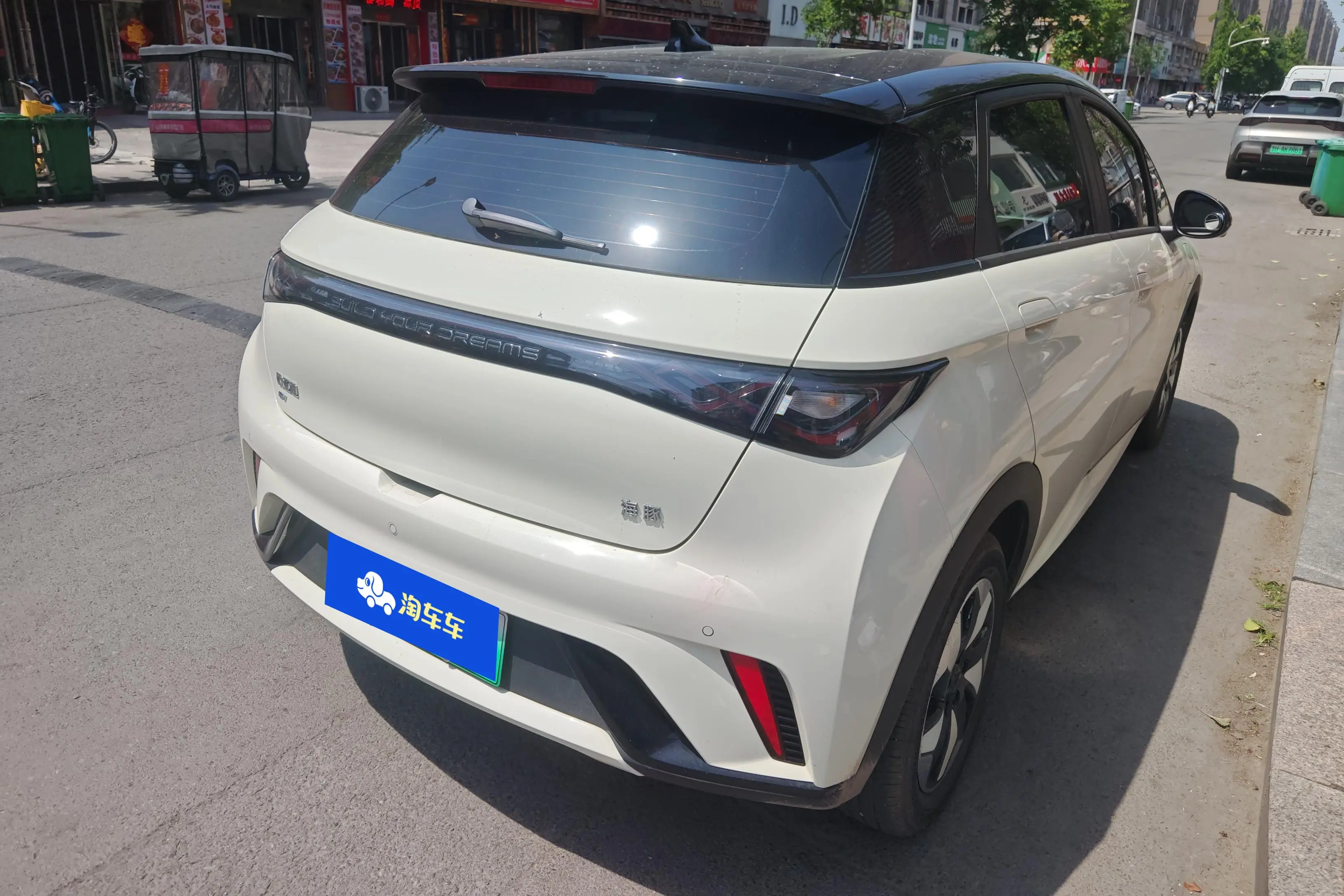 BYD Dolphin
