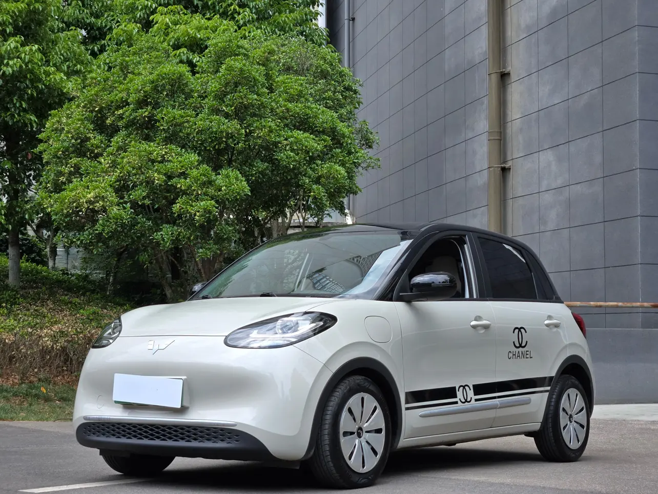 Wuling Bingo