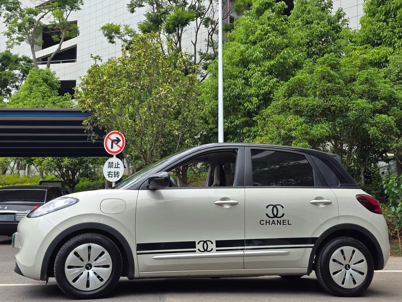 Wuling Bingo
