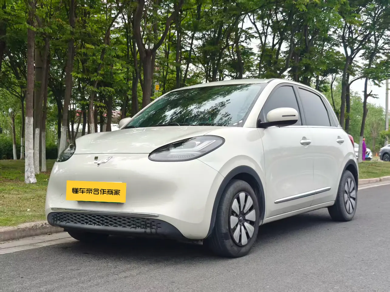 Wuling Bingo