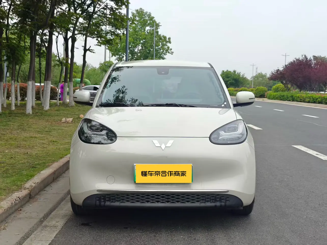 Wuling Bingo