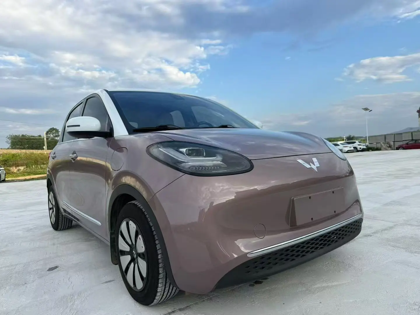 Wuling Bingo