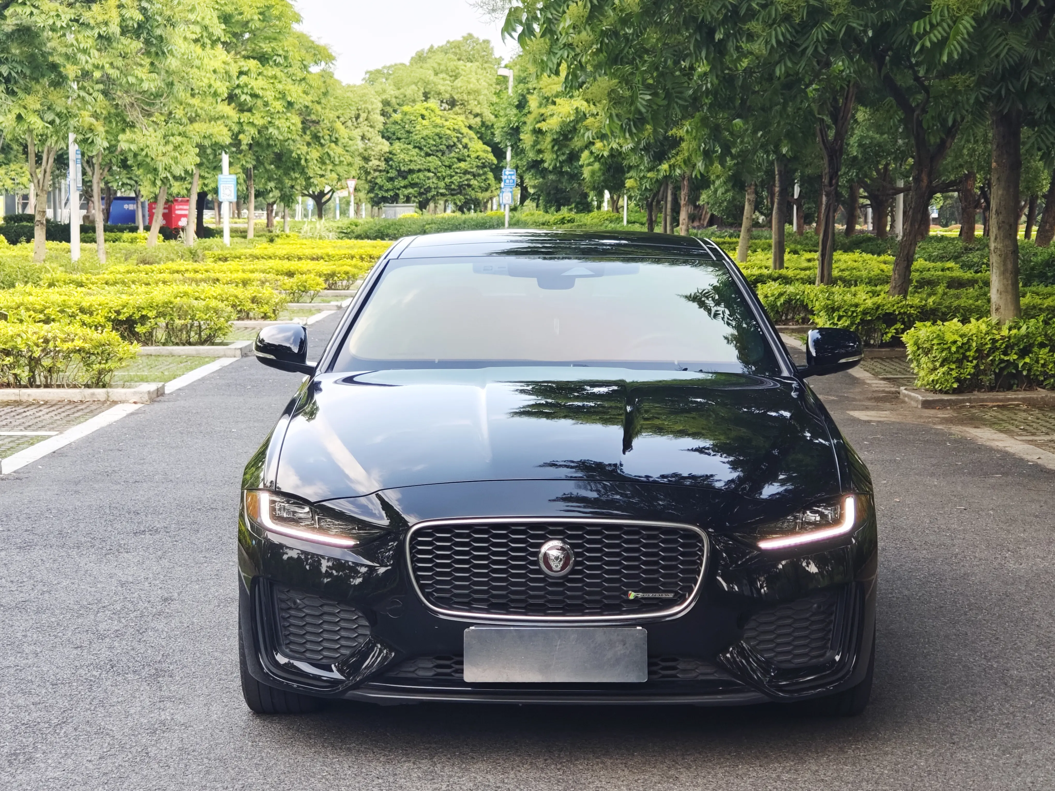 Jaguar XEL