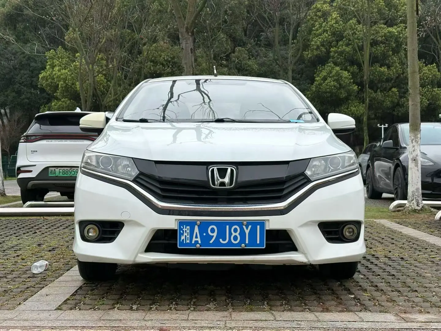 Honda Gray