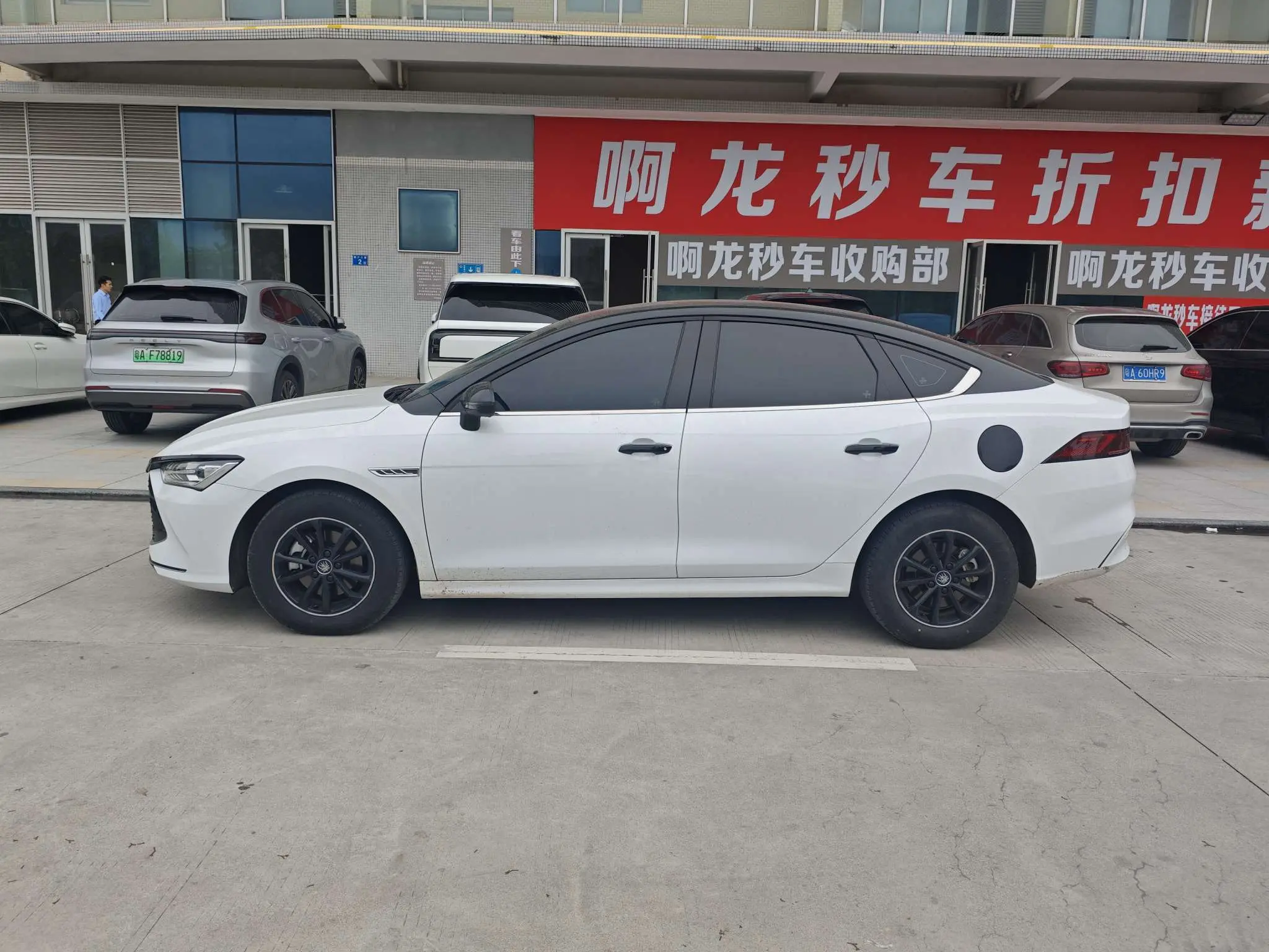 BYD Qin PLUS DM