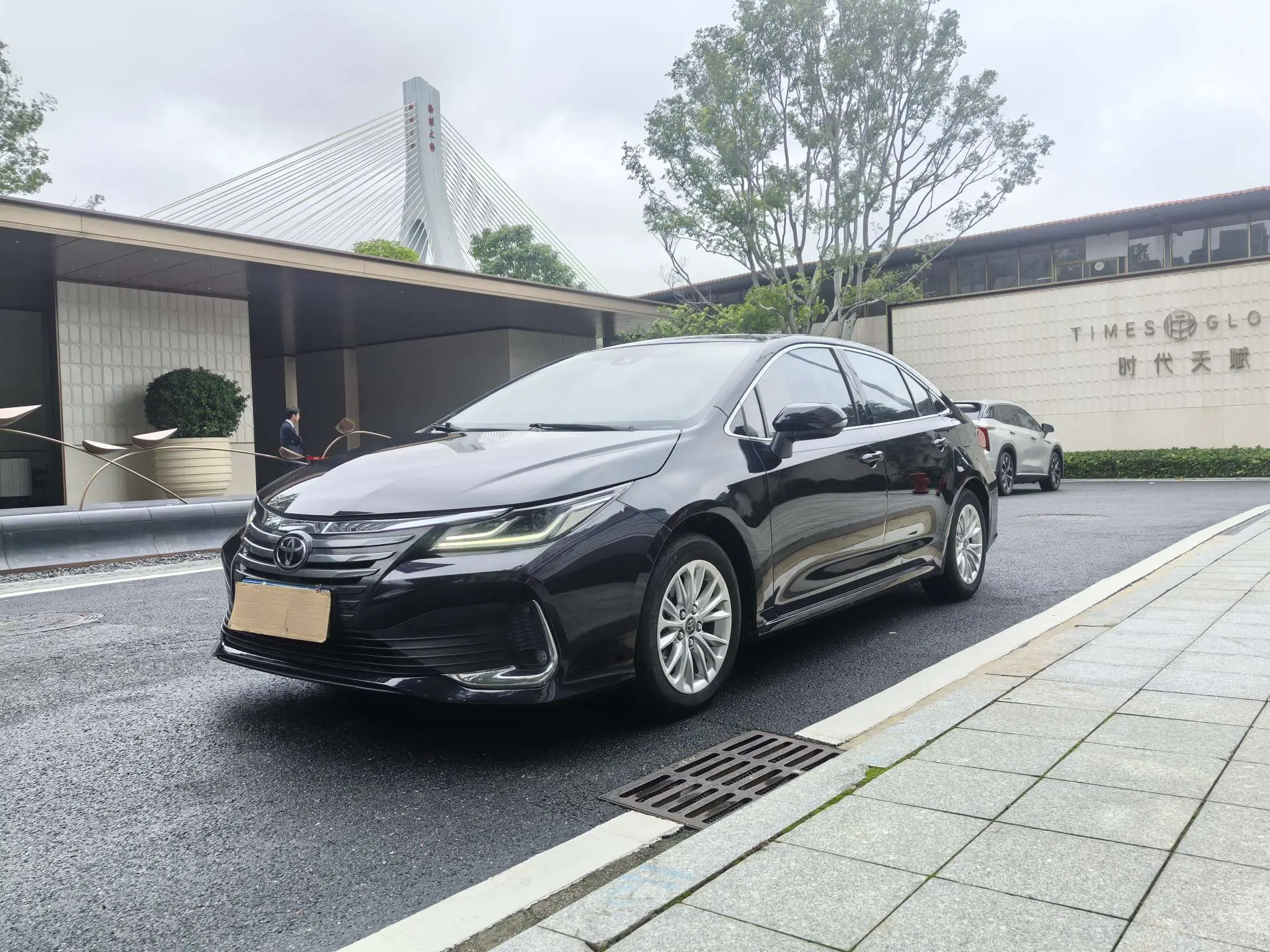 Toyota Asiatic lion