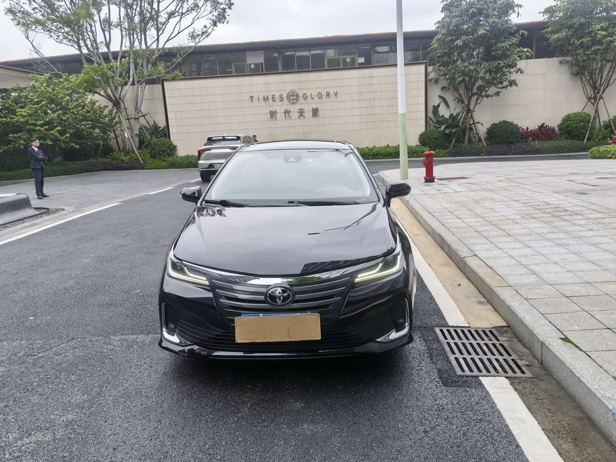 Toyota Asiatic lion