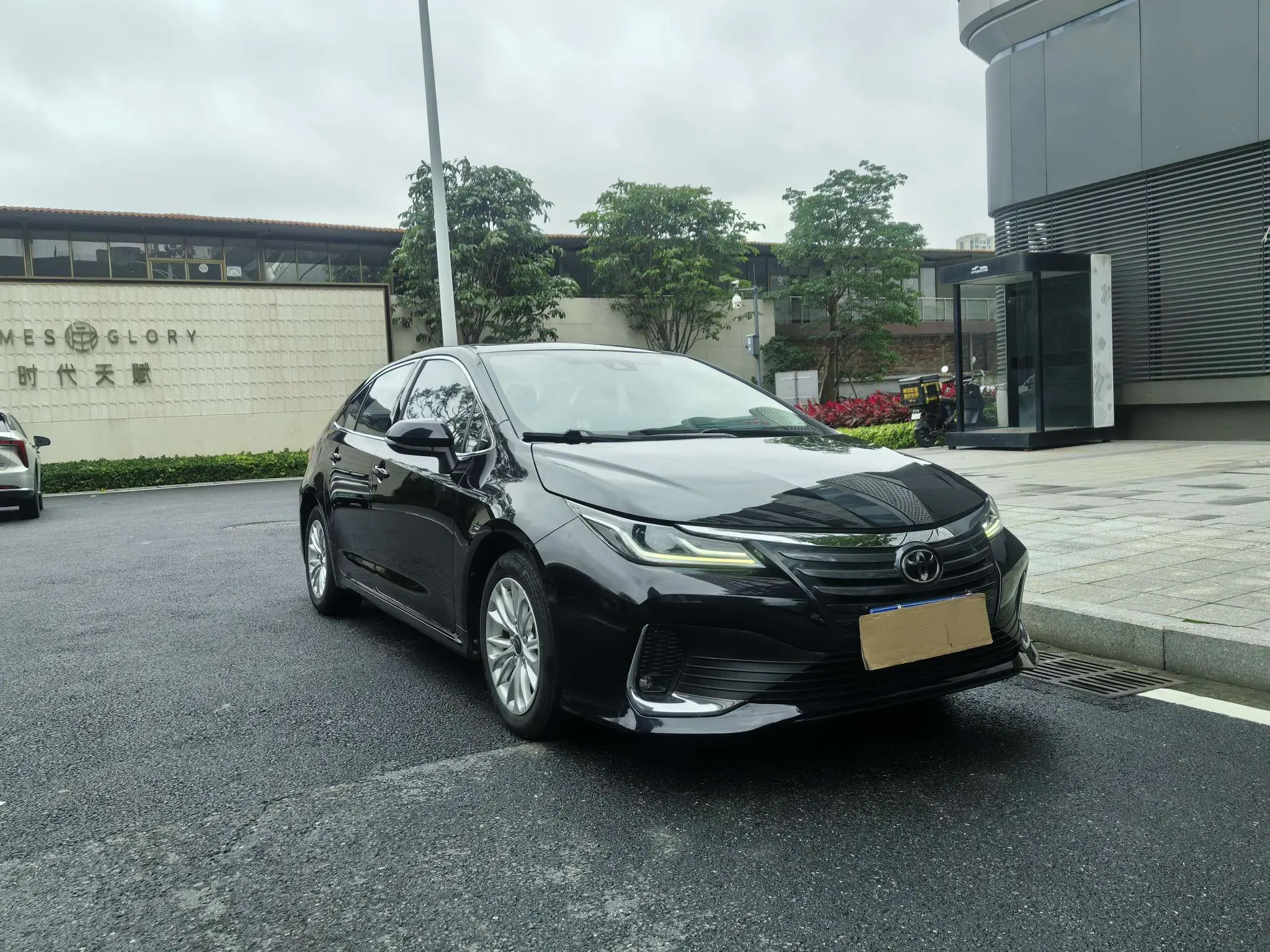 Toyota Asiatic lion
