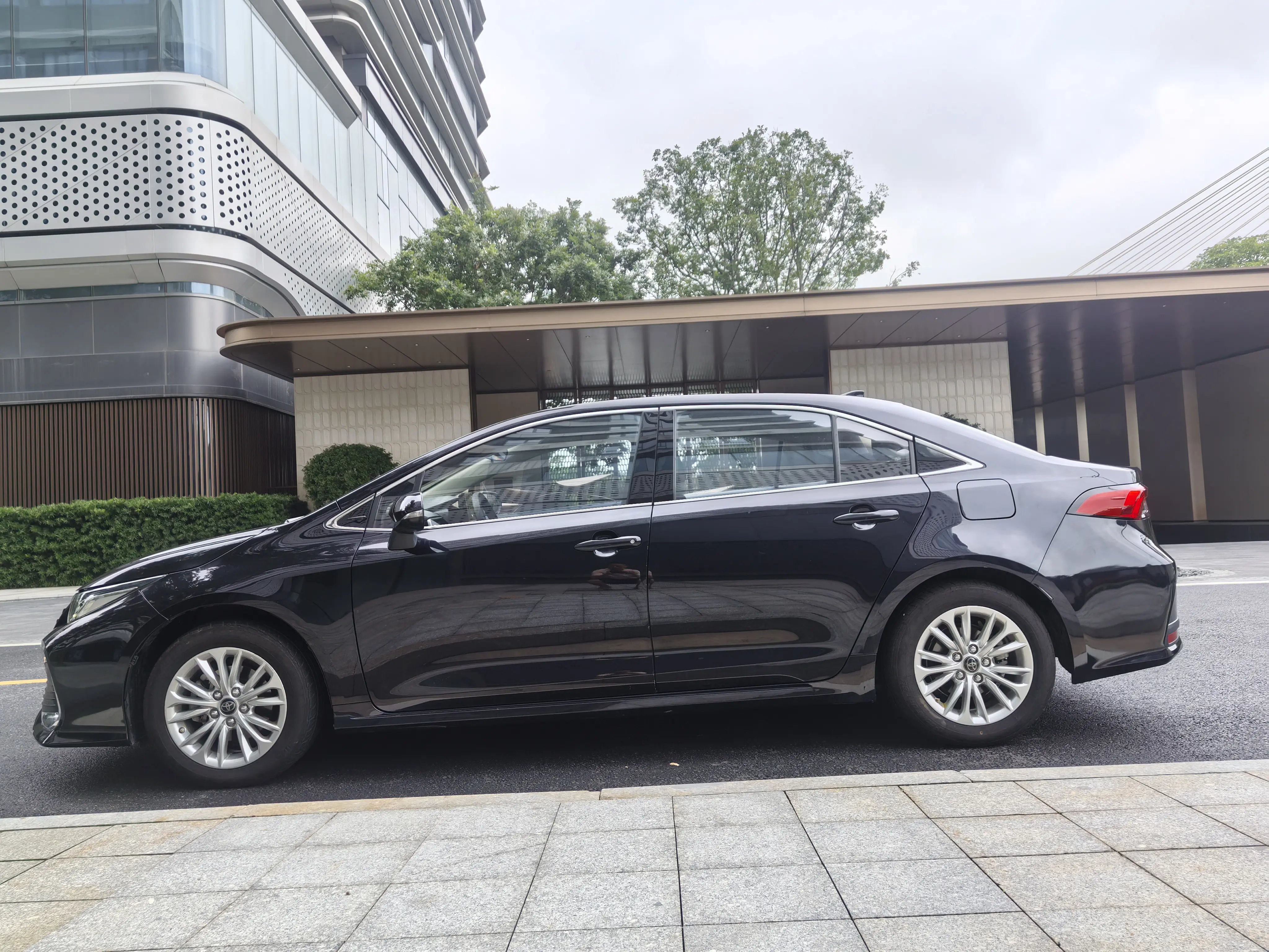 Toyota Asiatic lion