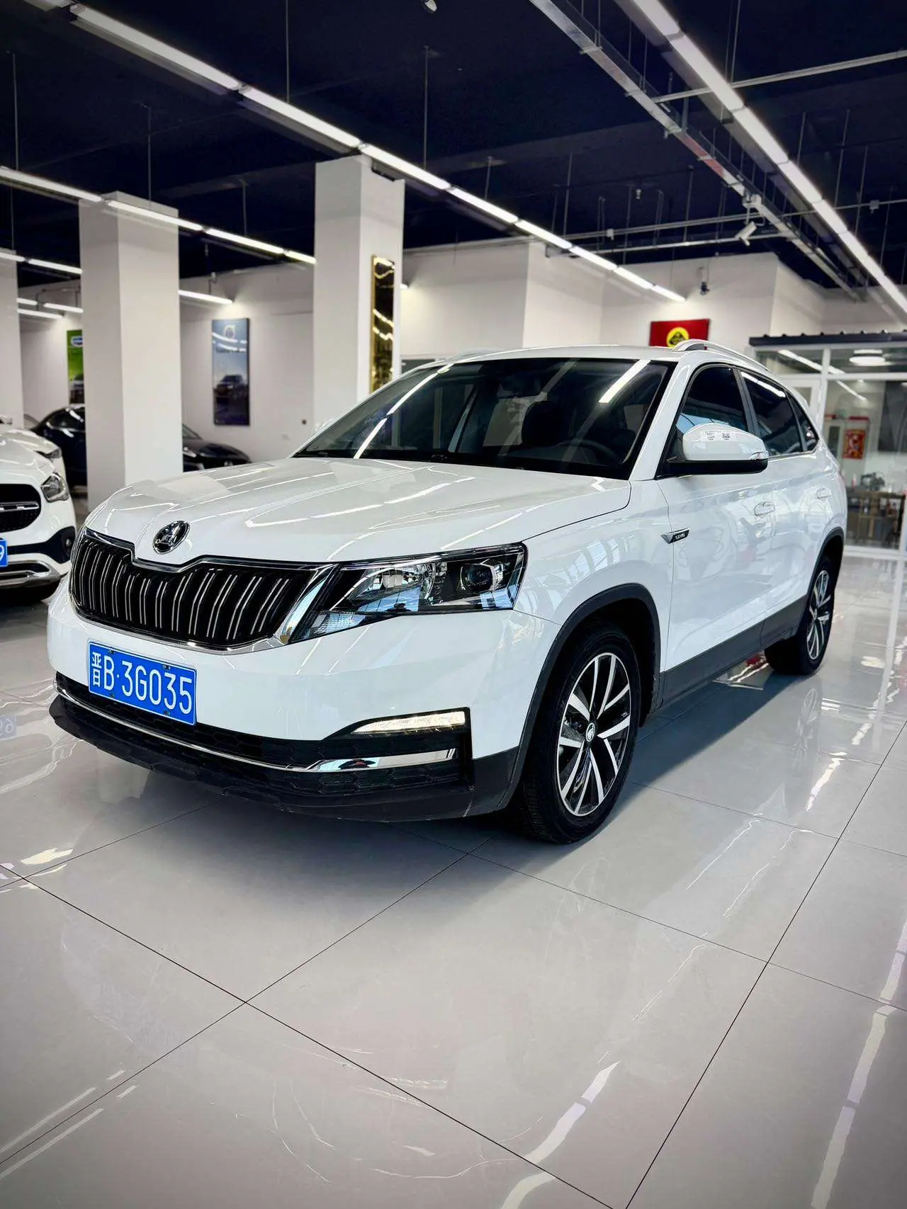Skoda Comek