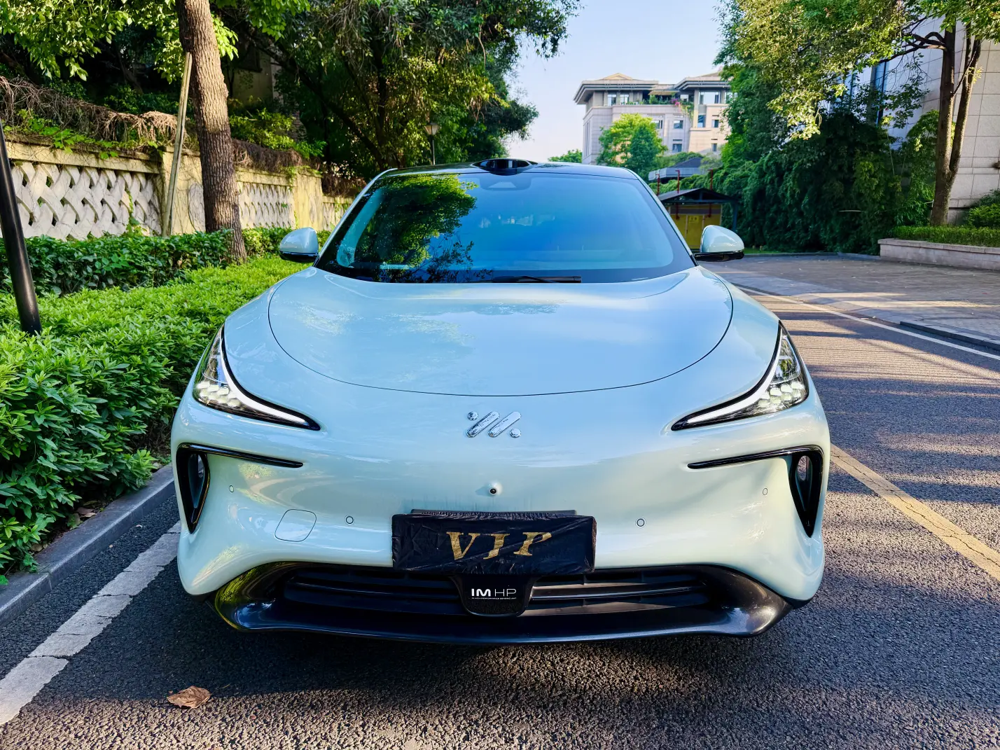 IM Motors LS6