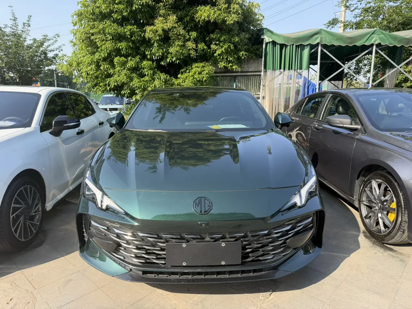 MG 7