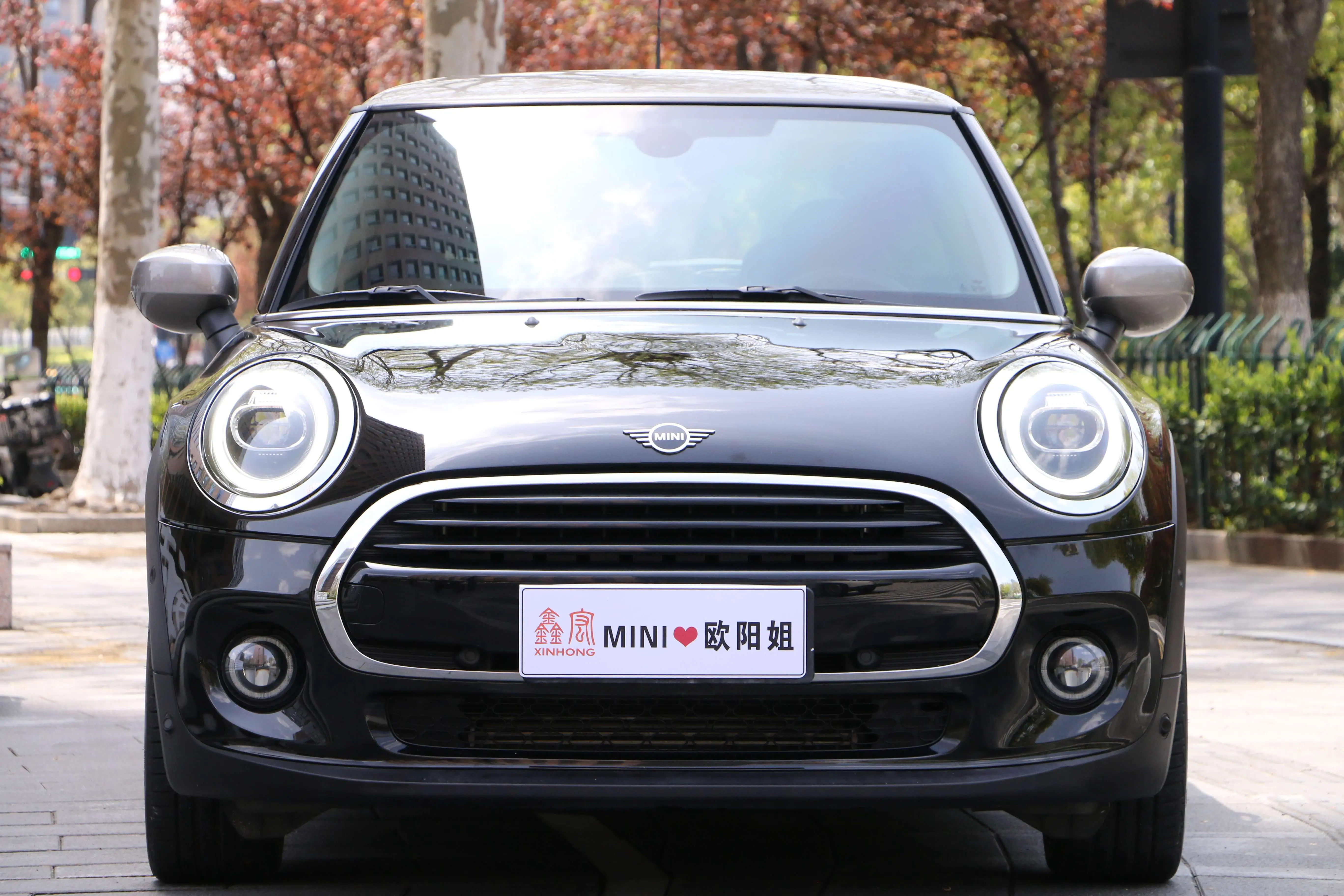 MINI 