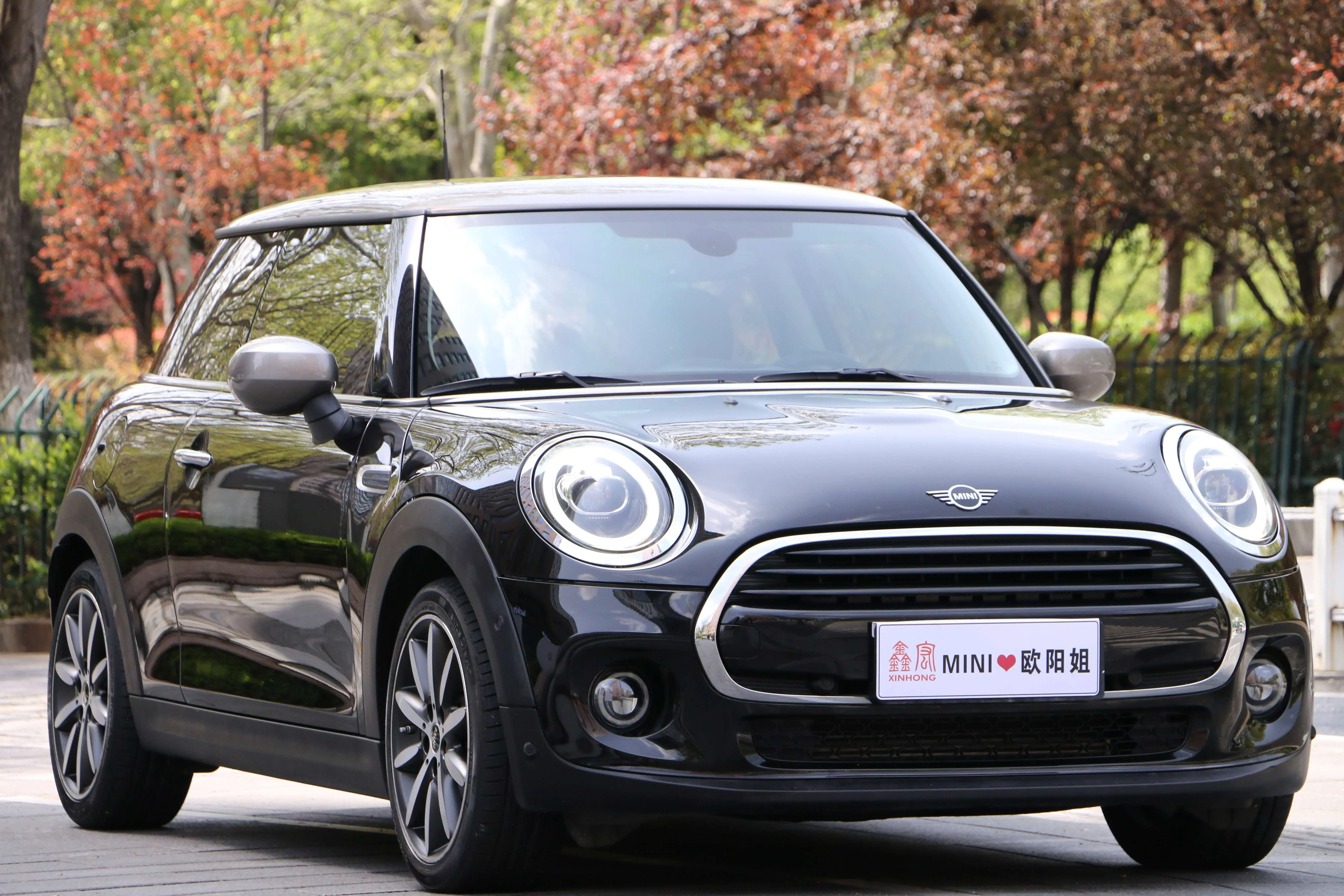 MINI 