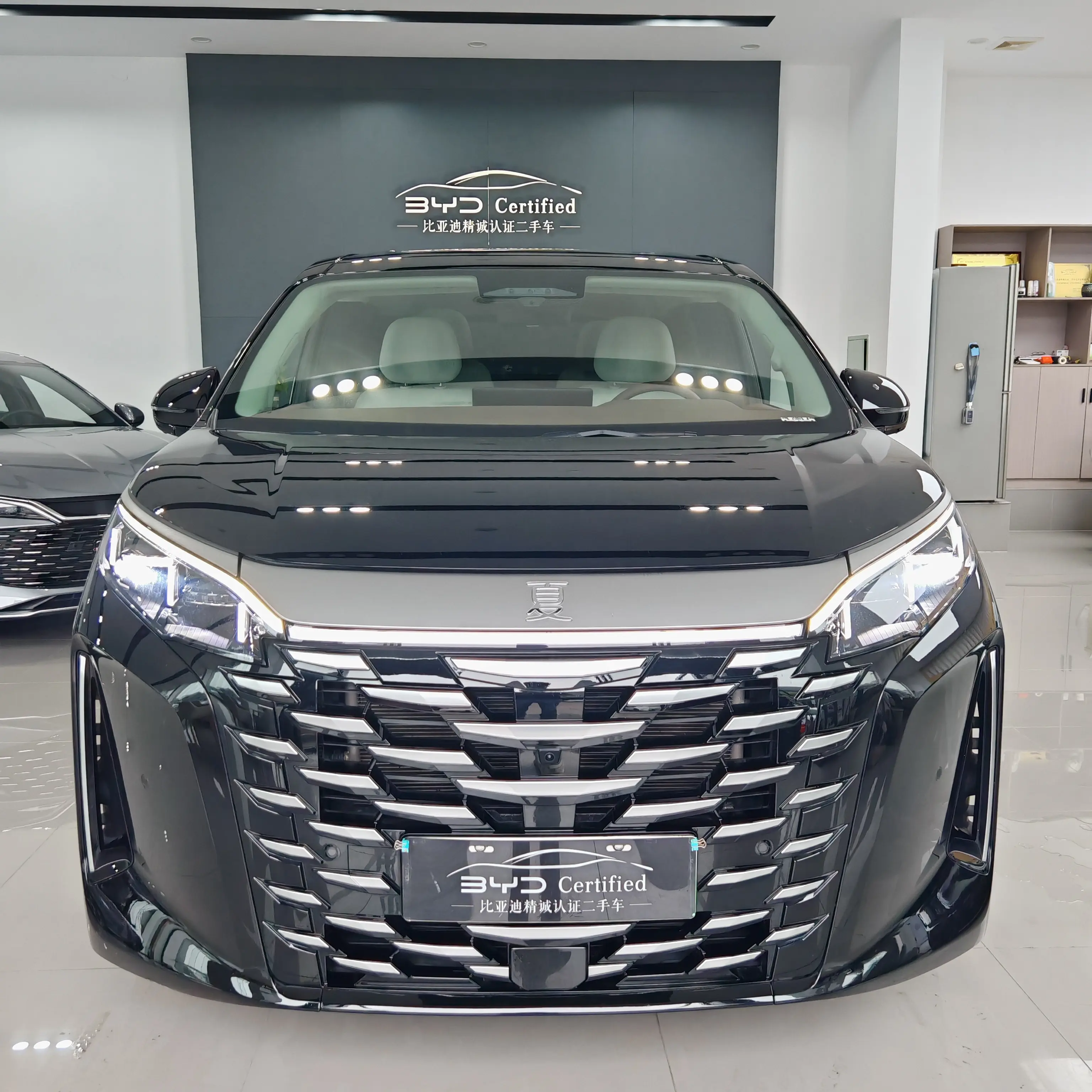 BYD Summer