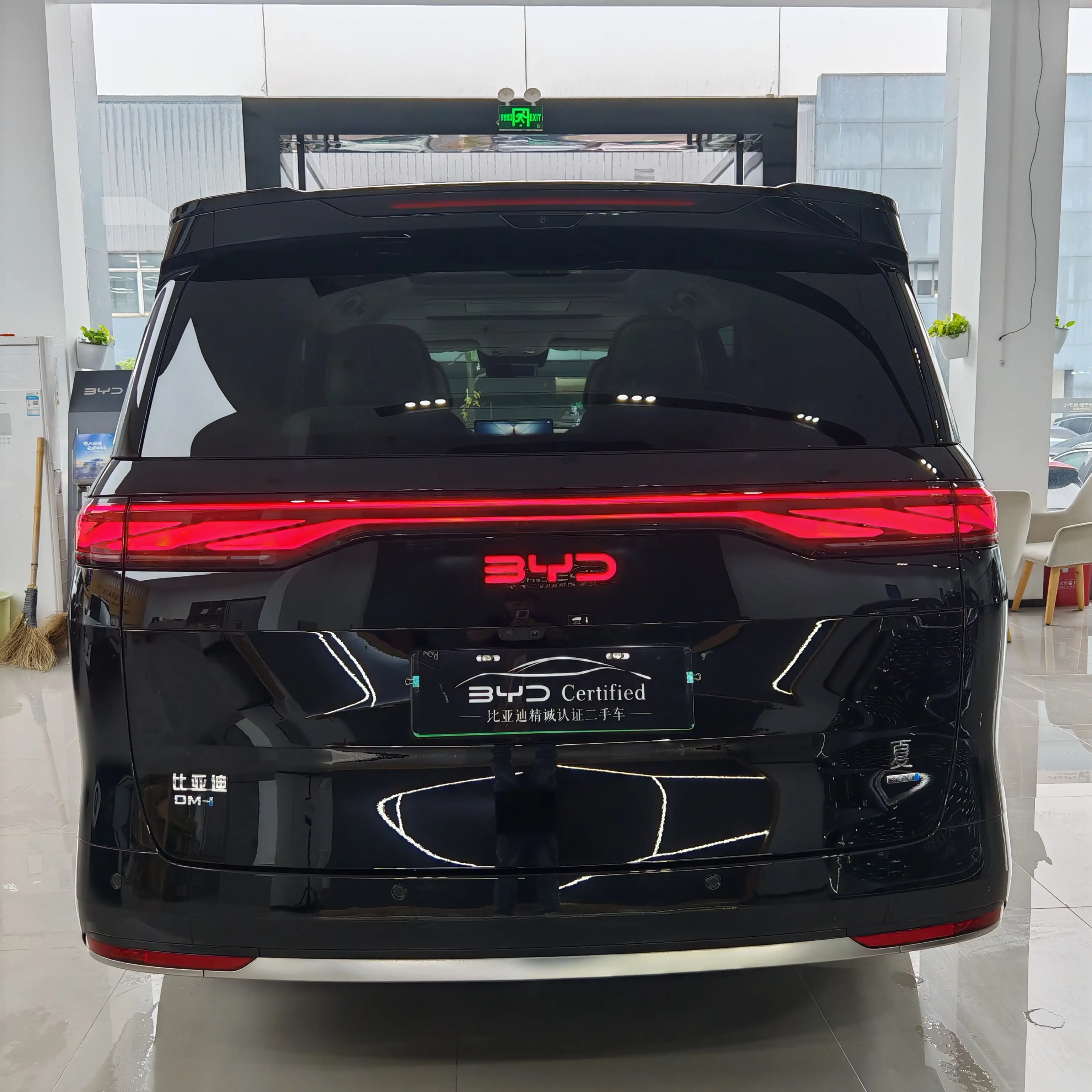 BYD Summer