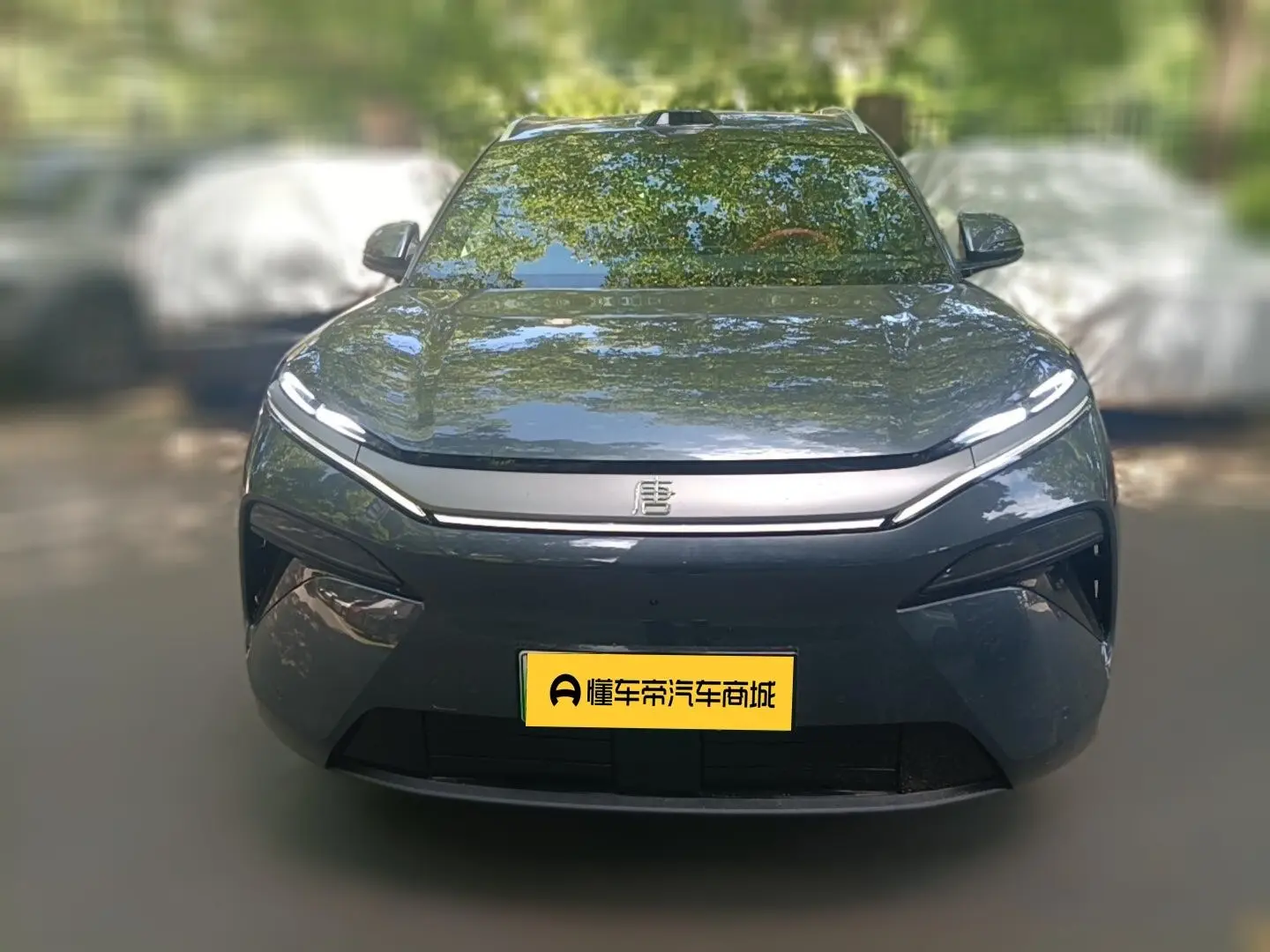 BYD Tang L EV