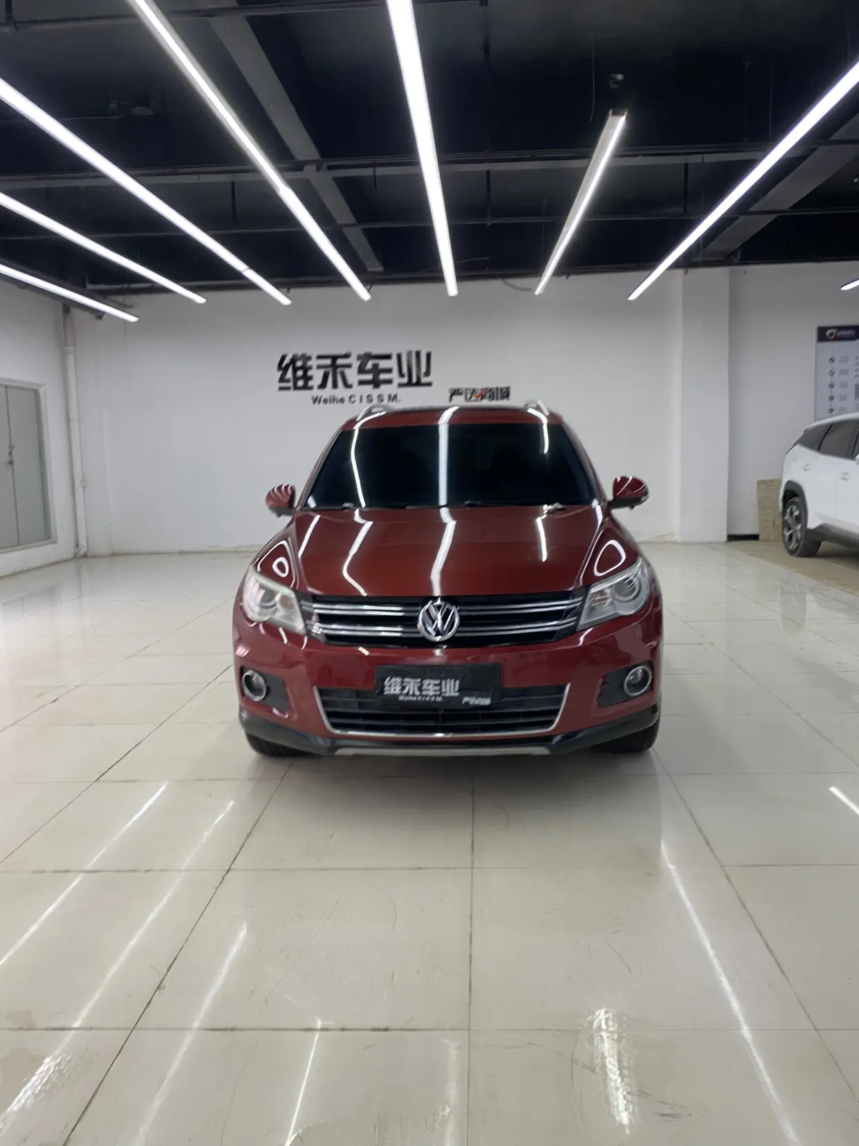 Volkswagen Tiguan (Tharu)