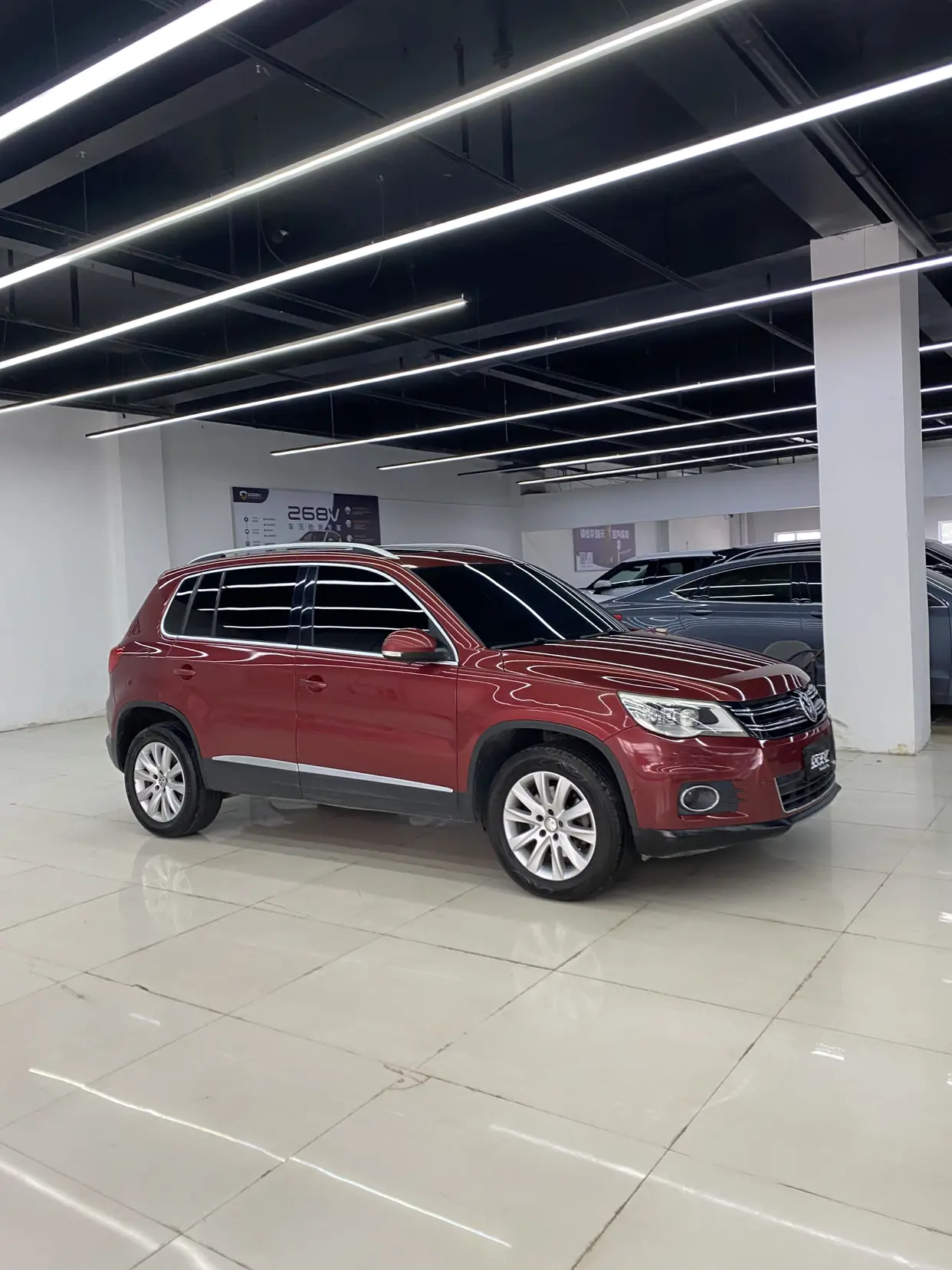 Volkswagen Tiguan (Tharu)