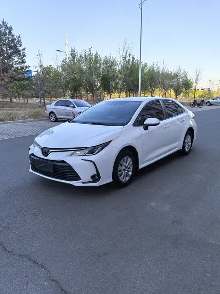 catalog-car-1