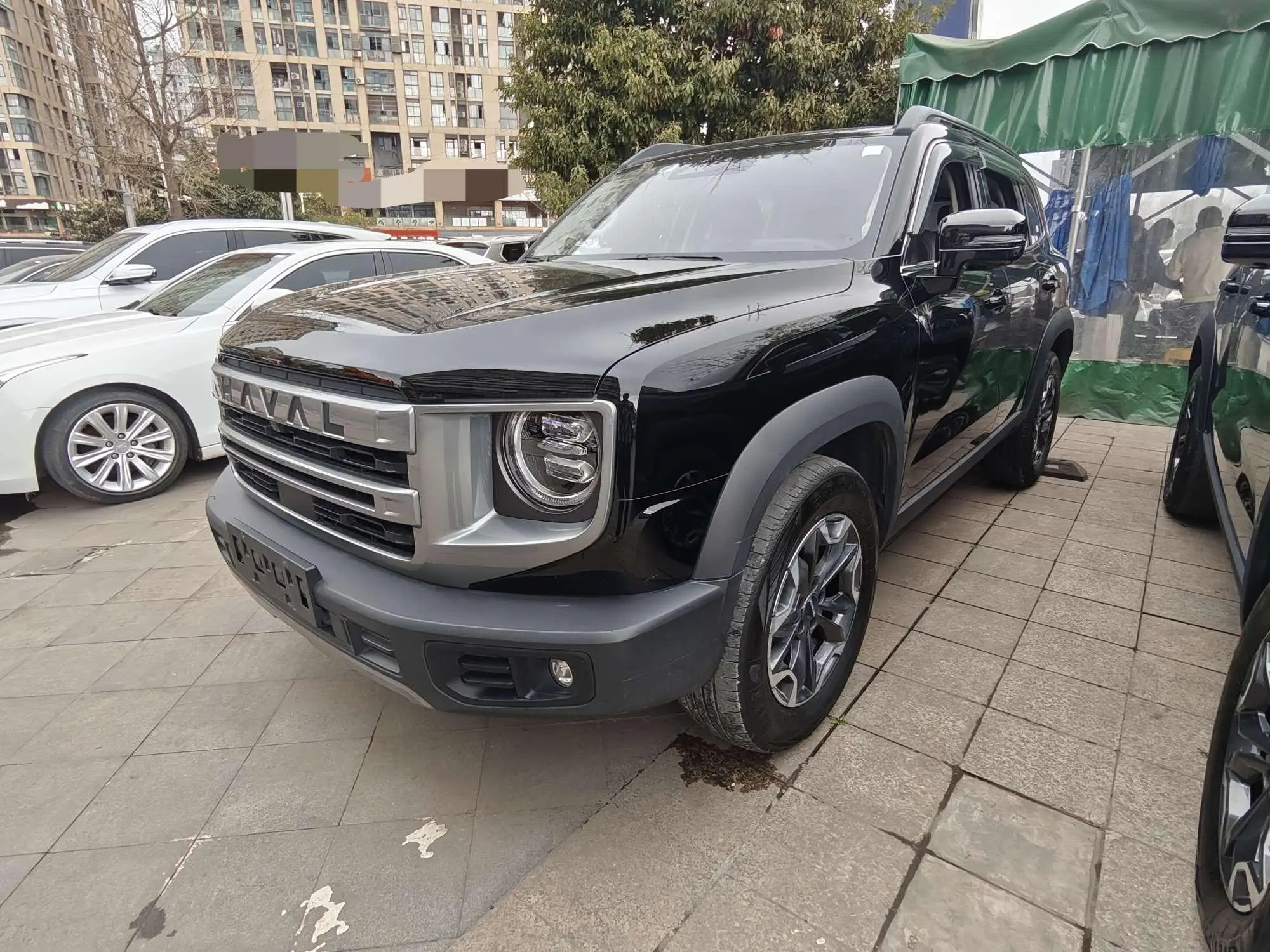 Haval Dargo