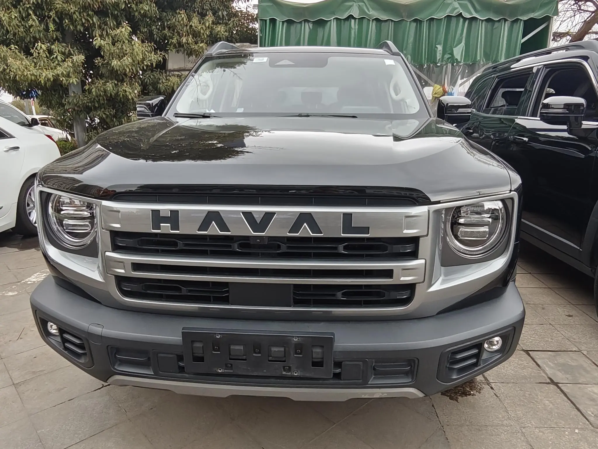 Haval Dargo