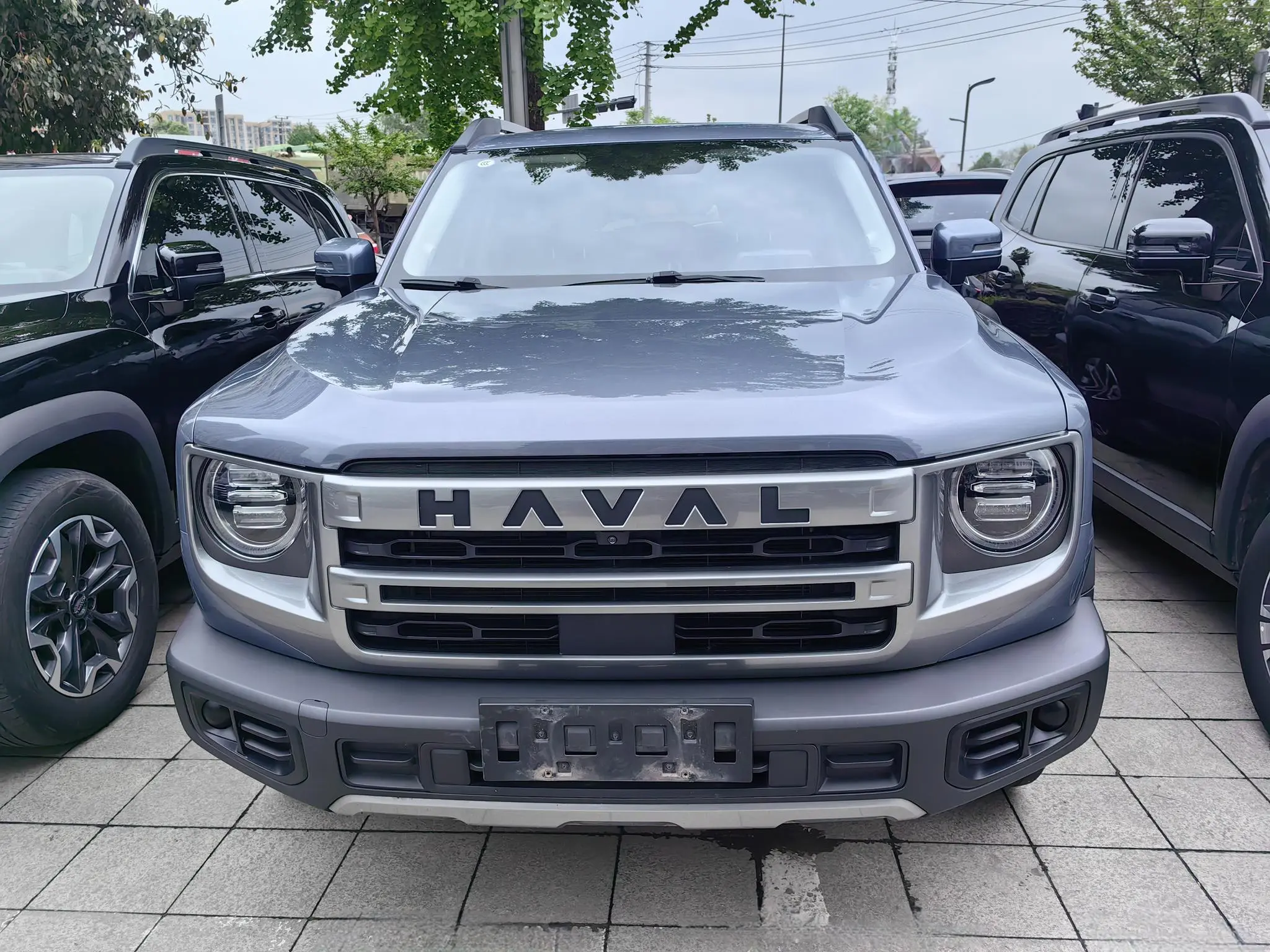 Haval Dargo