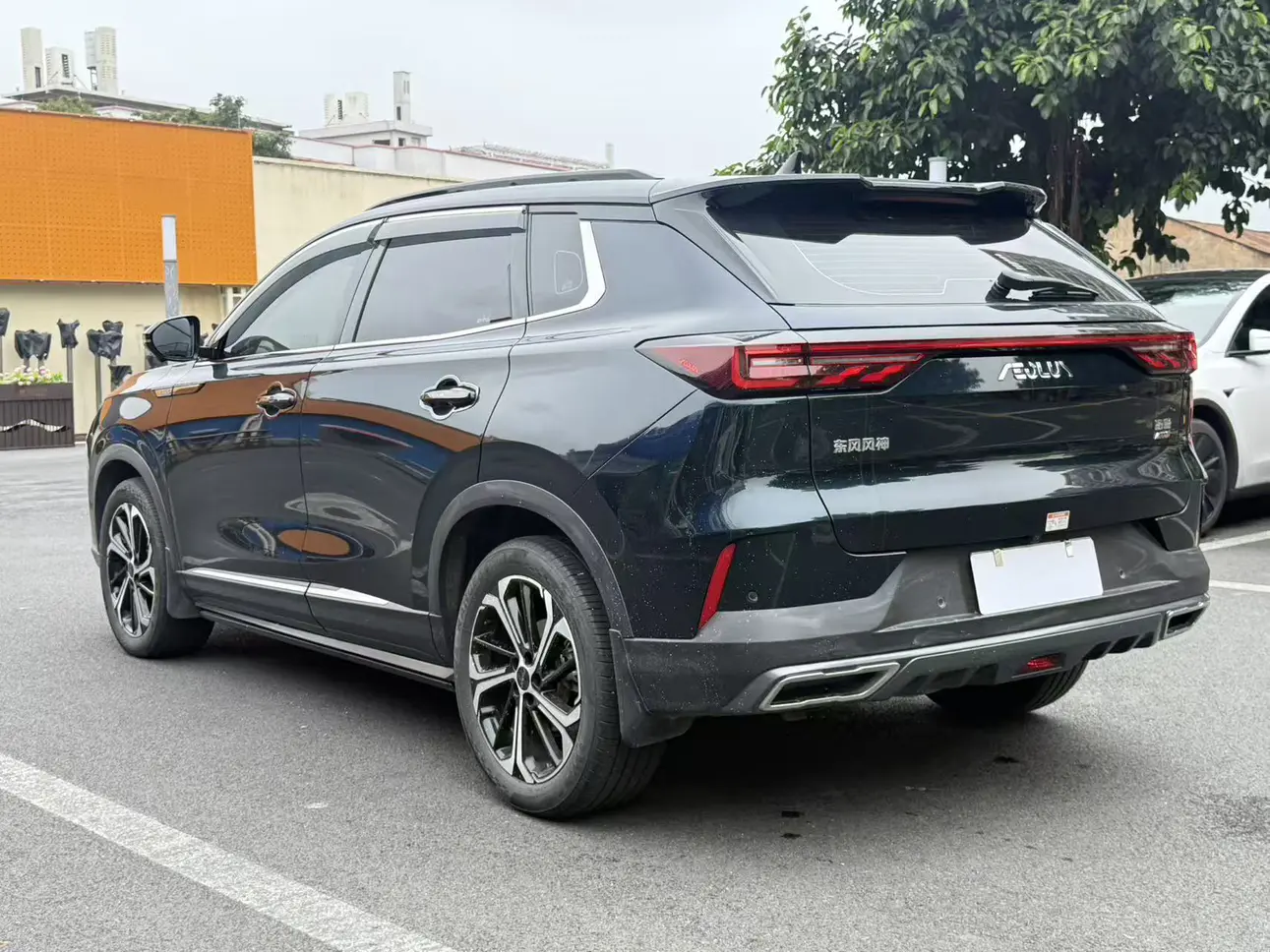 Dongfeng Haoji