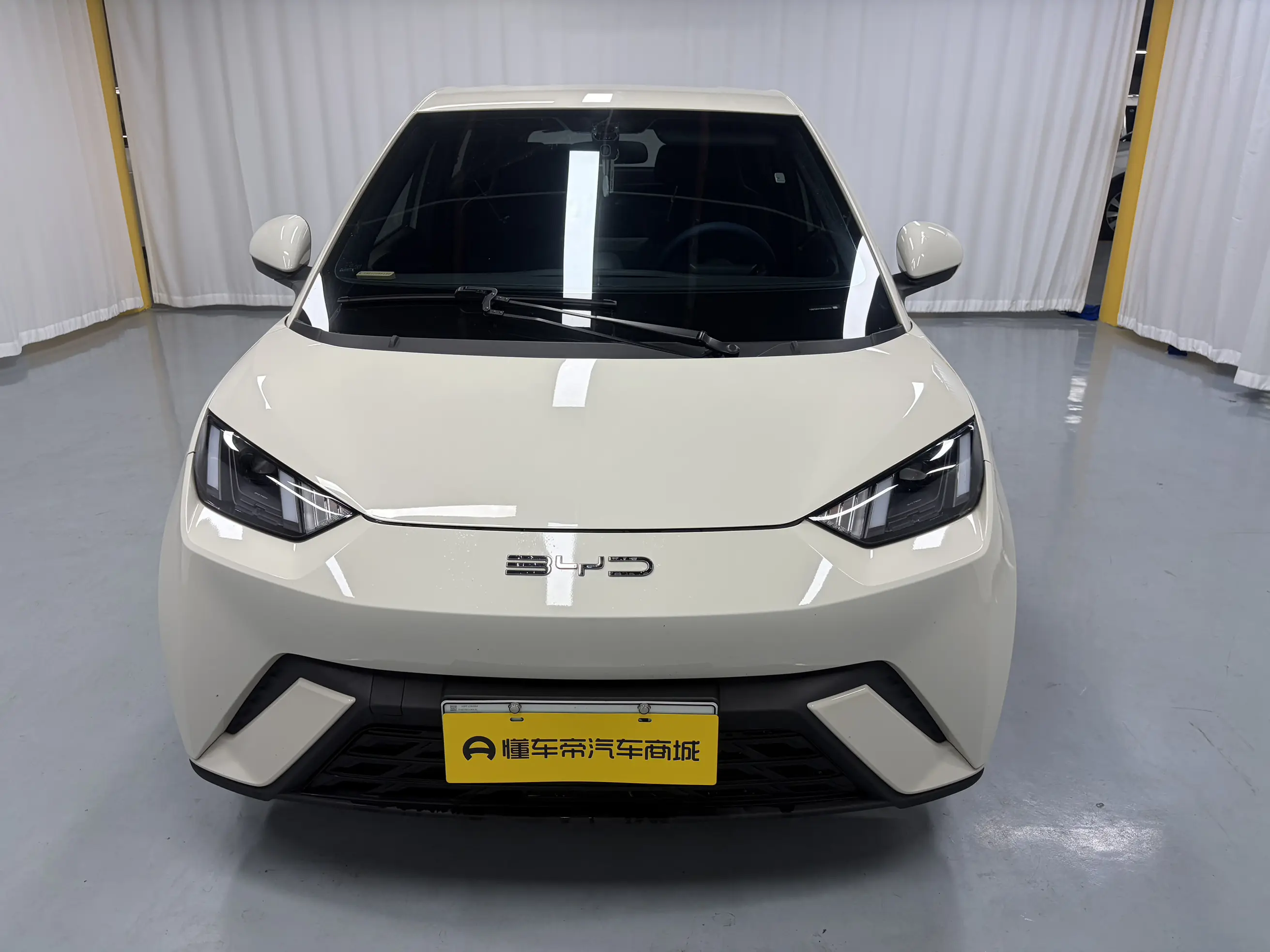 BYD seagull
