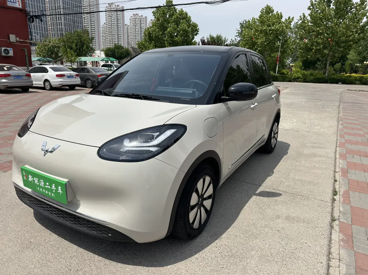 Wuling Bingo