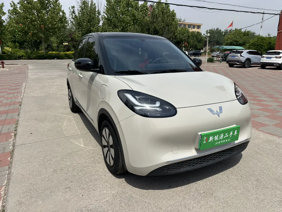 Wuling Bingo