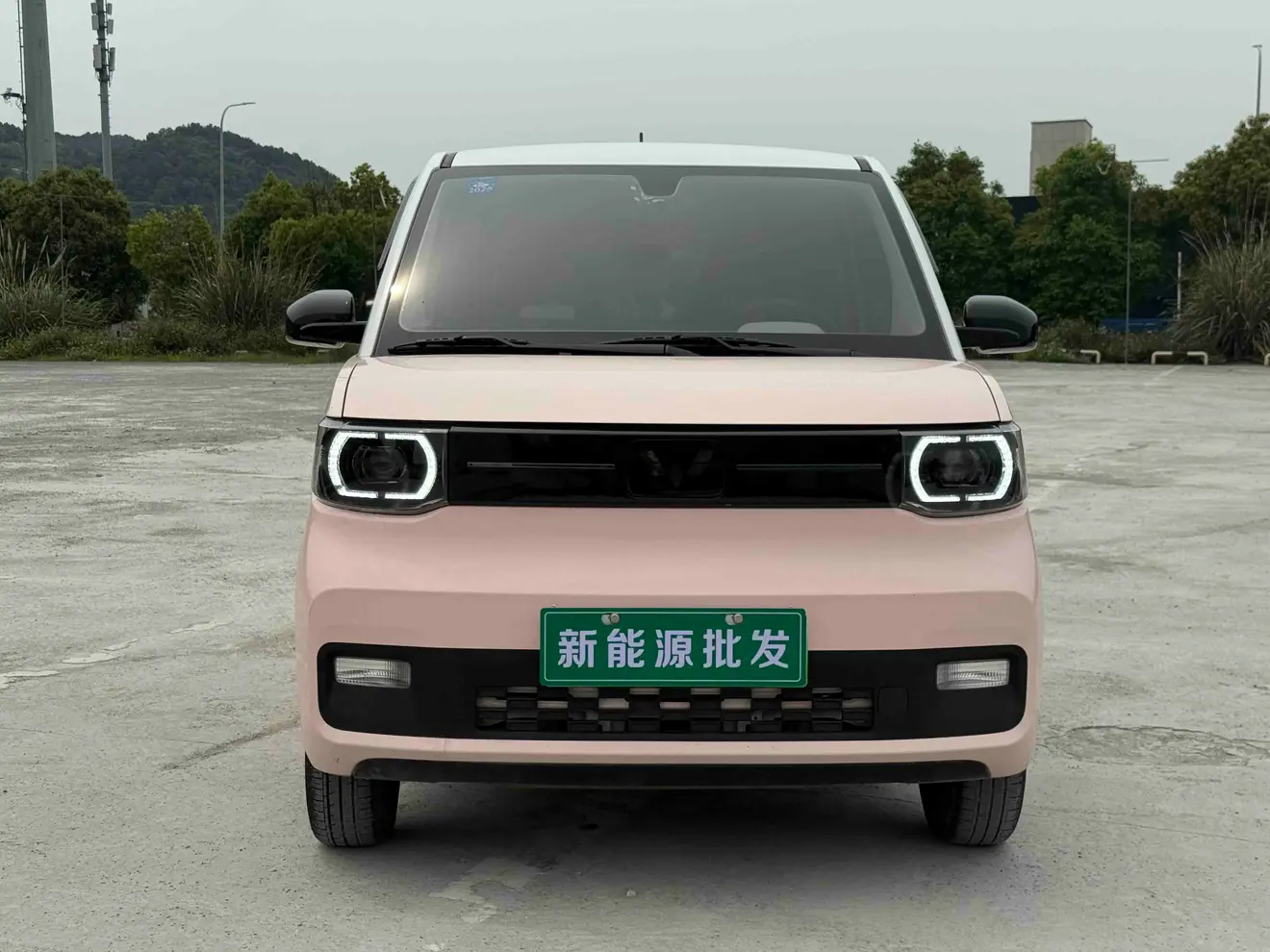 Wuling Hongguang MINIEV