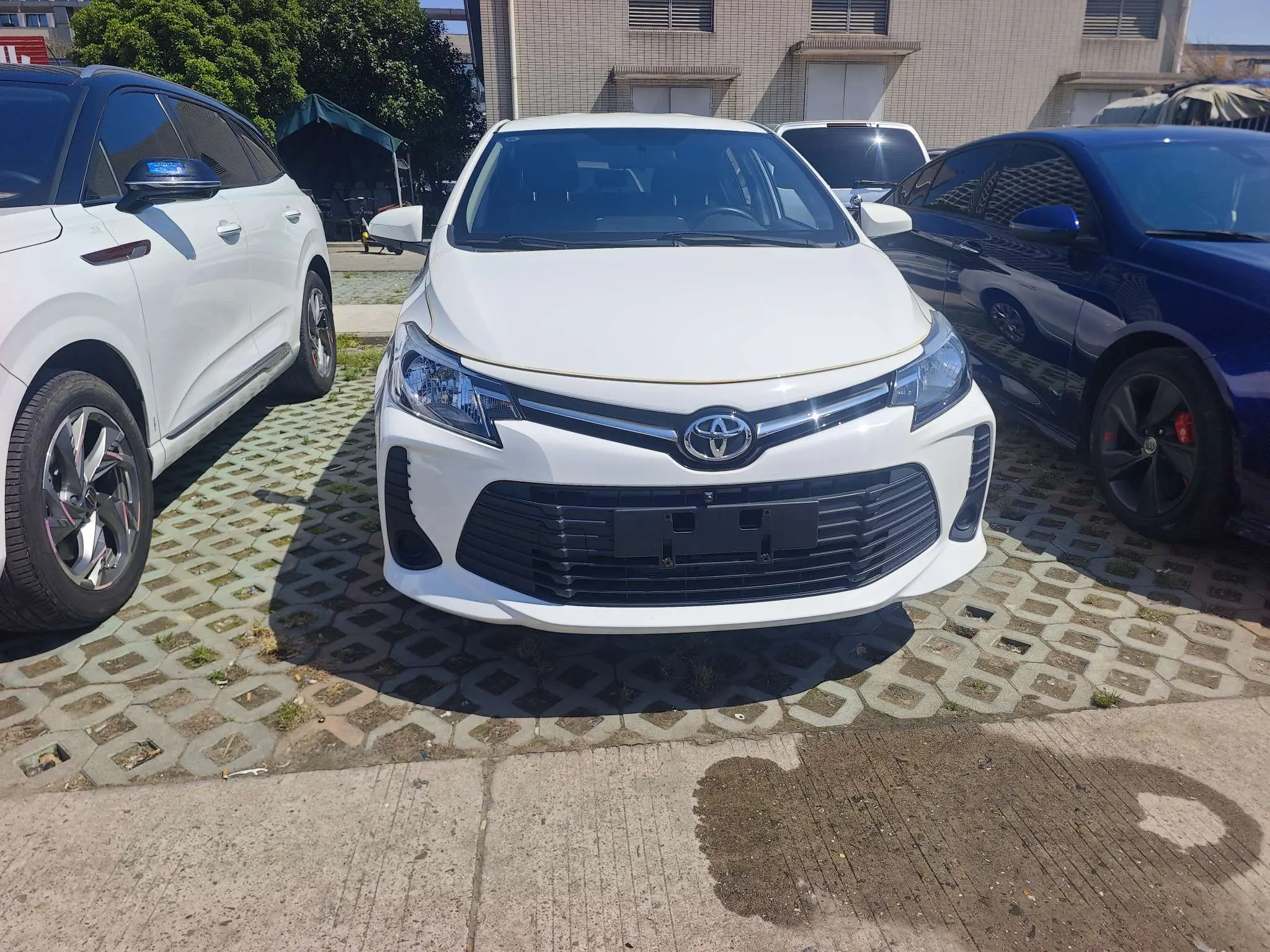 Toyota Vios