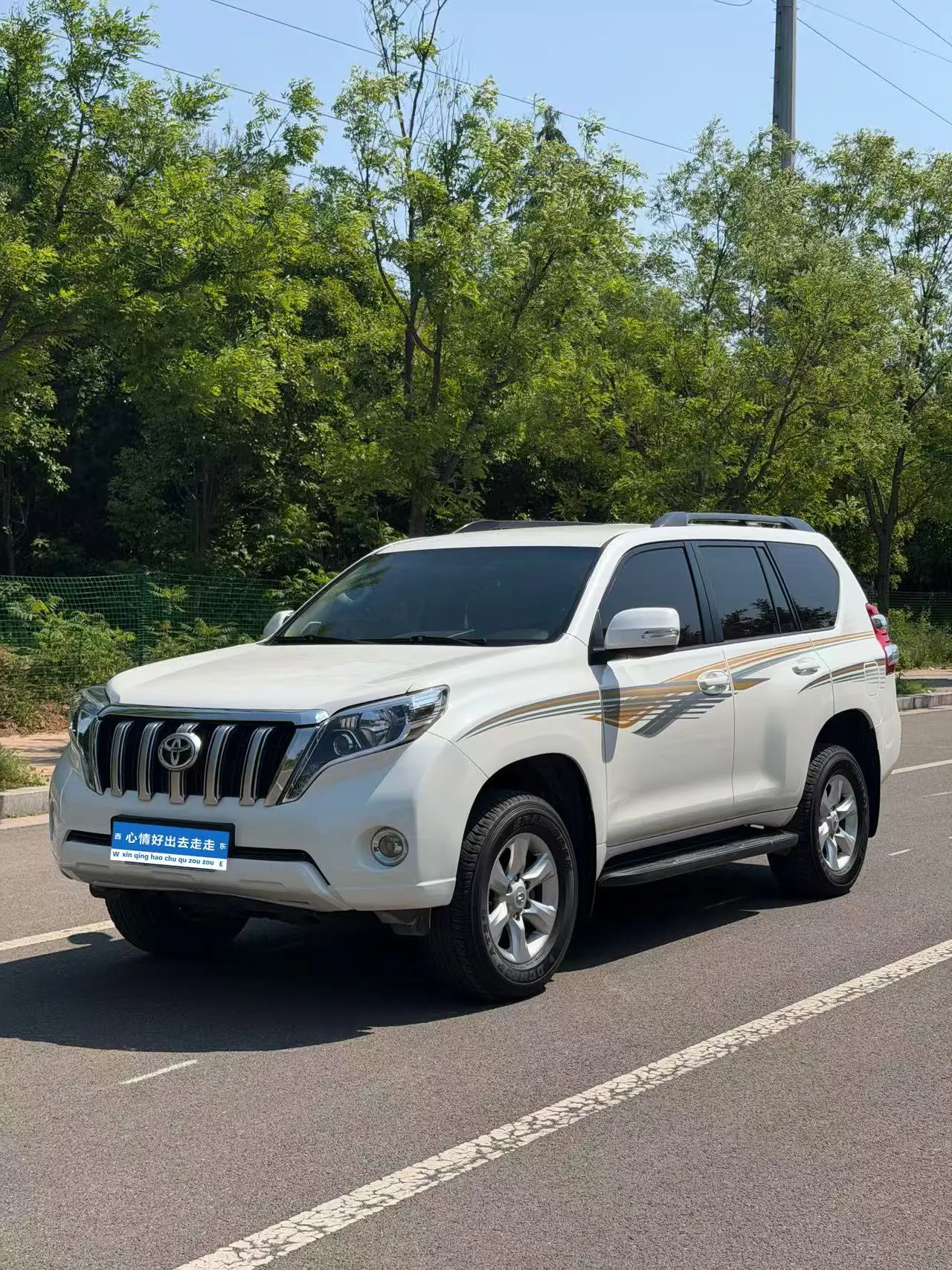 Toyota Prado