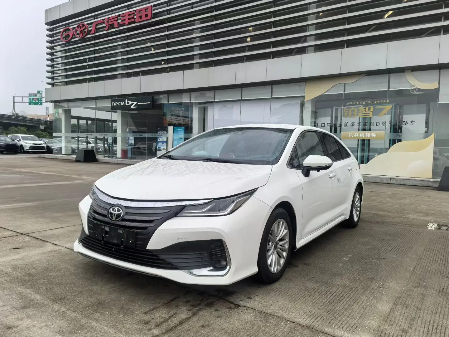 Toyota Asiatic lion