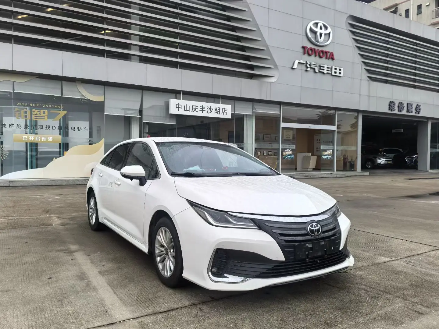 Toyota Asiatic lion