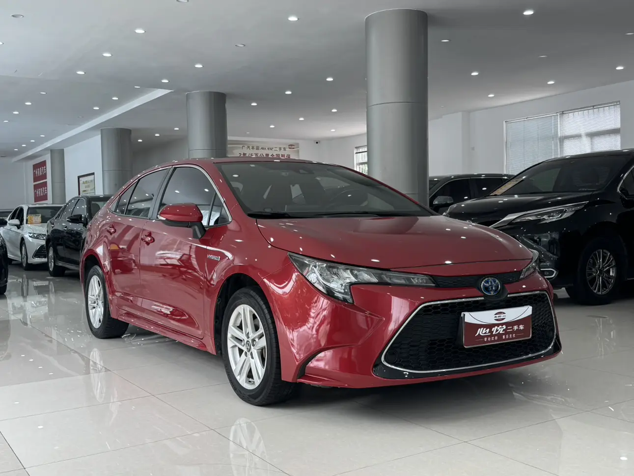 Toyota Levin