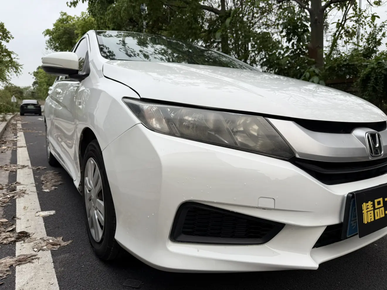 Honda Feng Fan