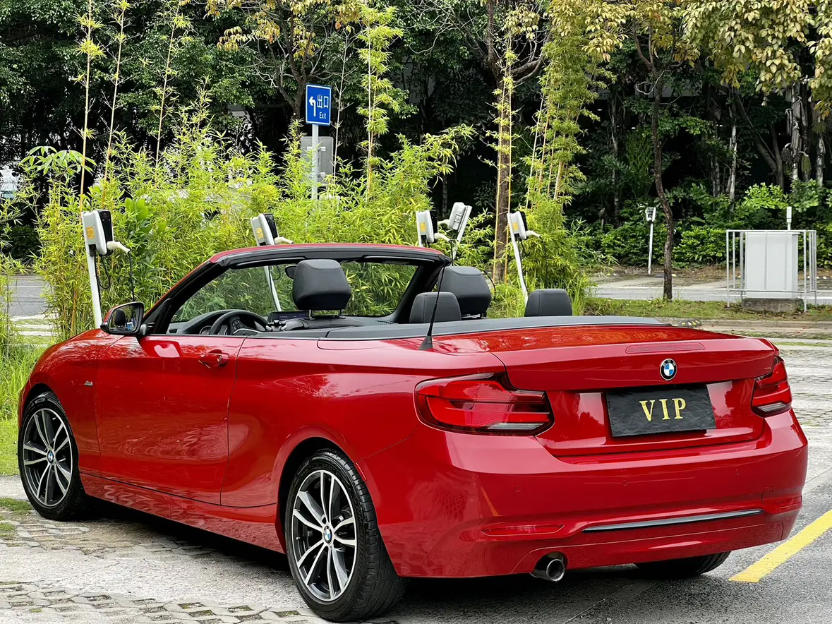 BMW 2 Series