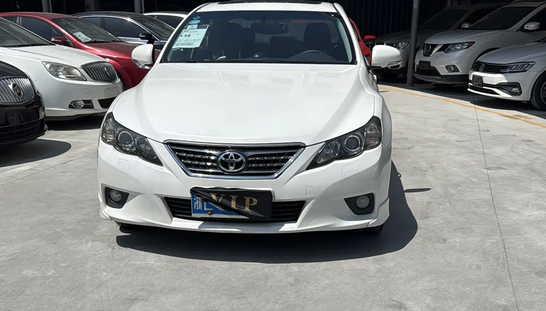 Toyota Ruizhi