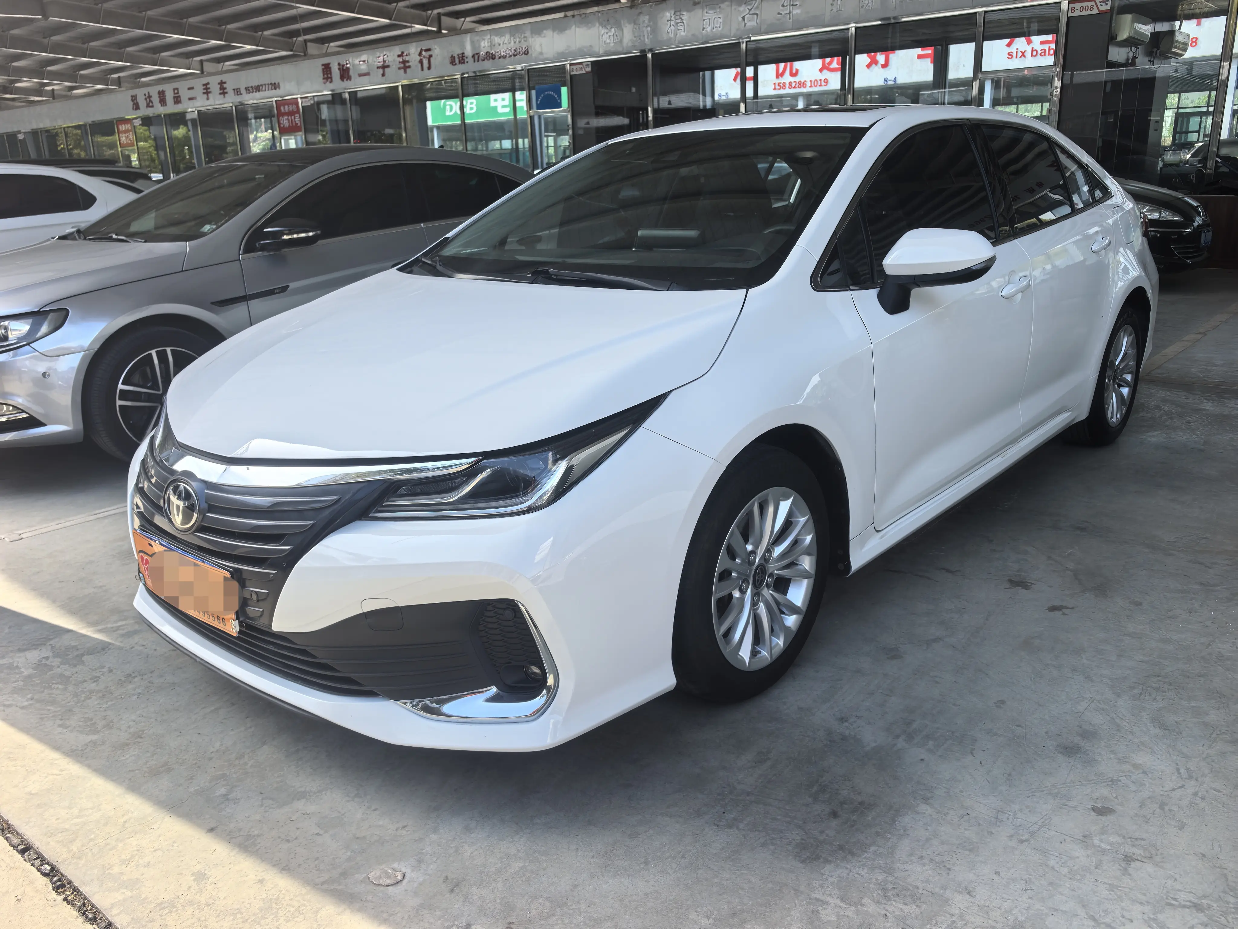 Toyota Asiatic lion