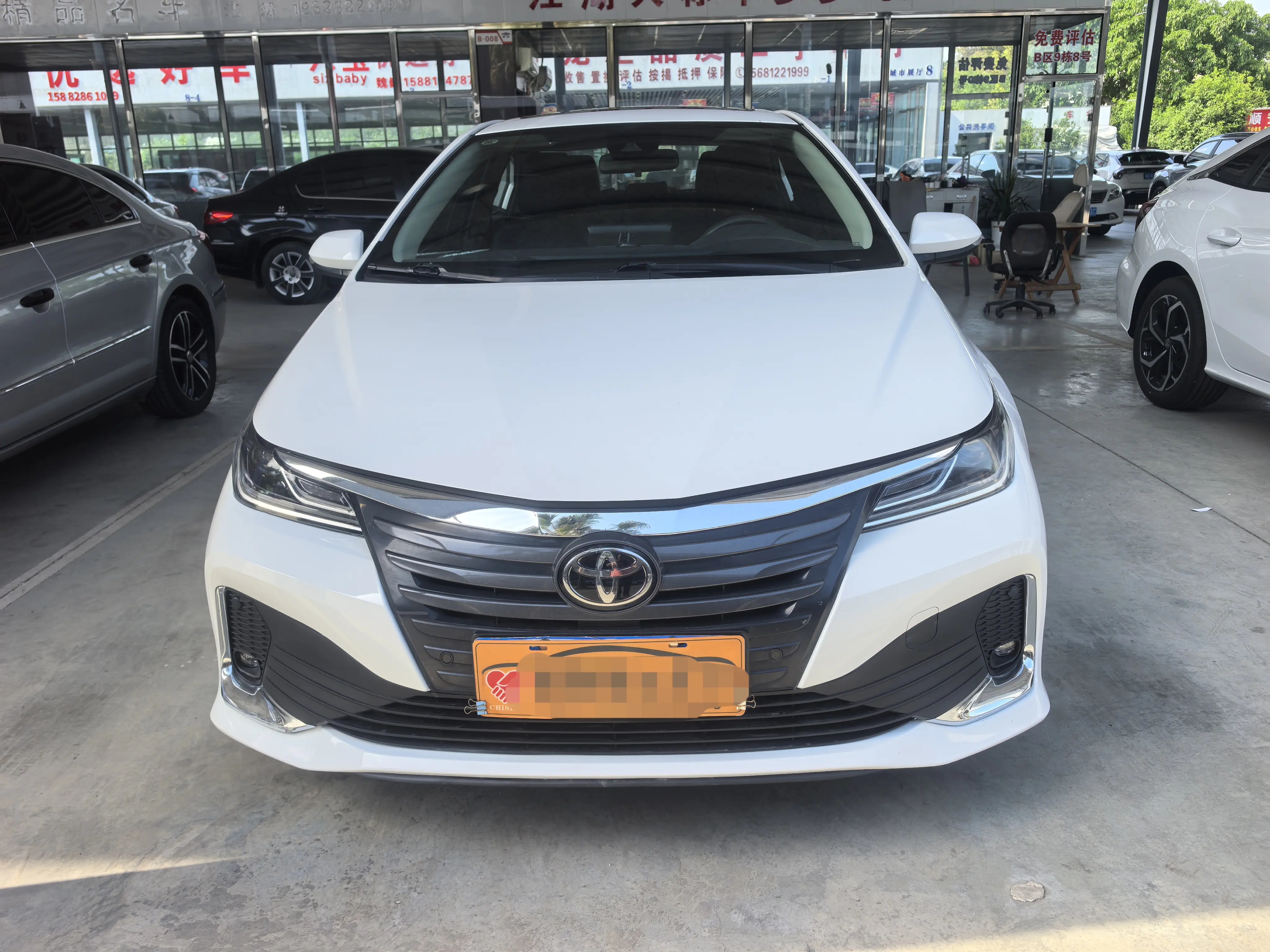 Toyota Asiatic lion