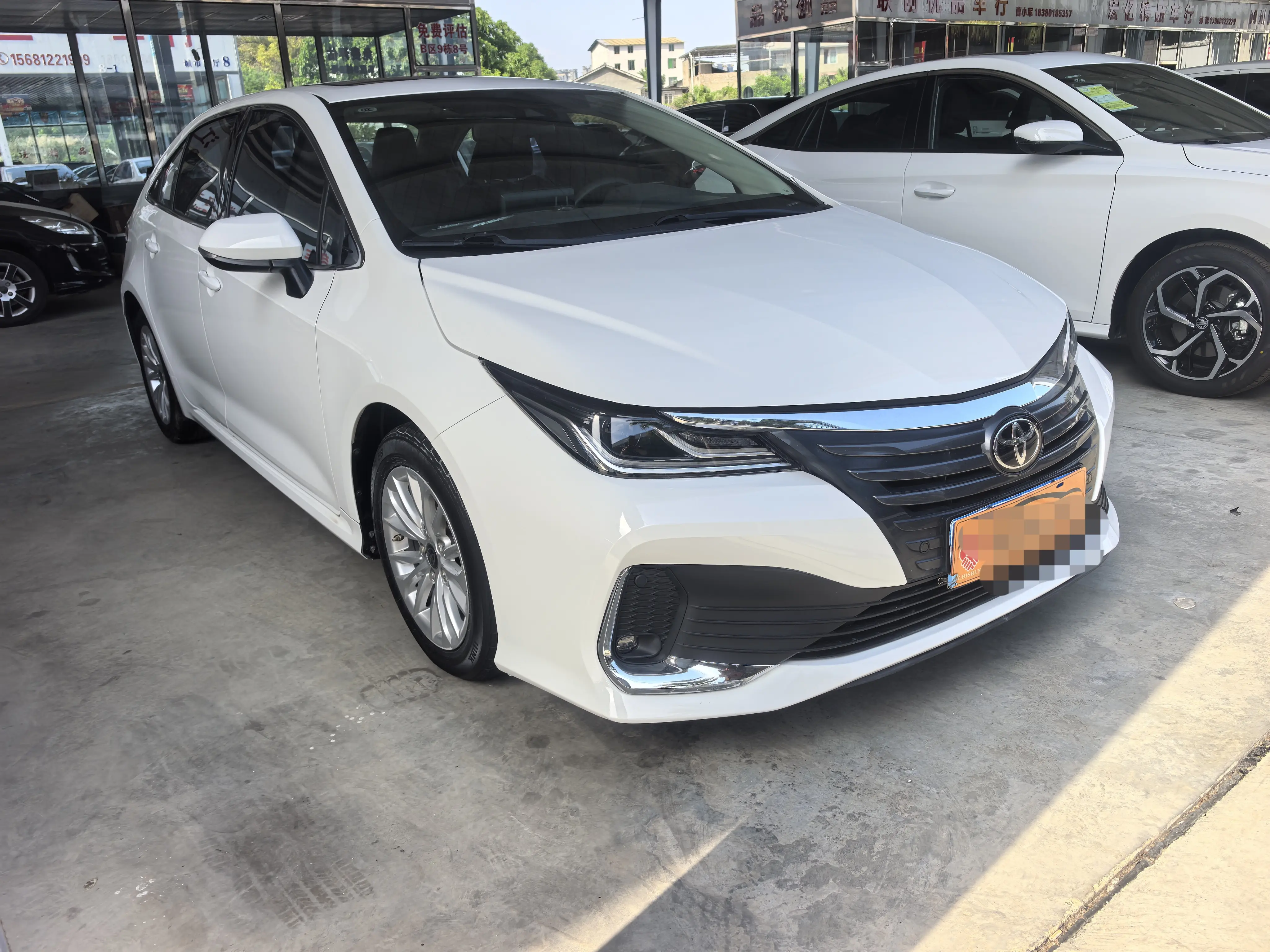 Toyota Asiatic lion