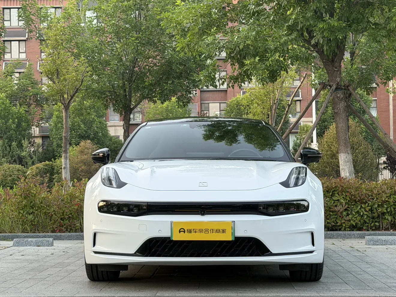 ZEEKR 001