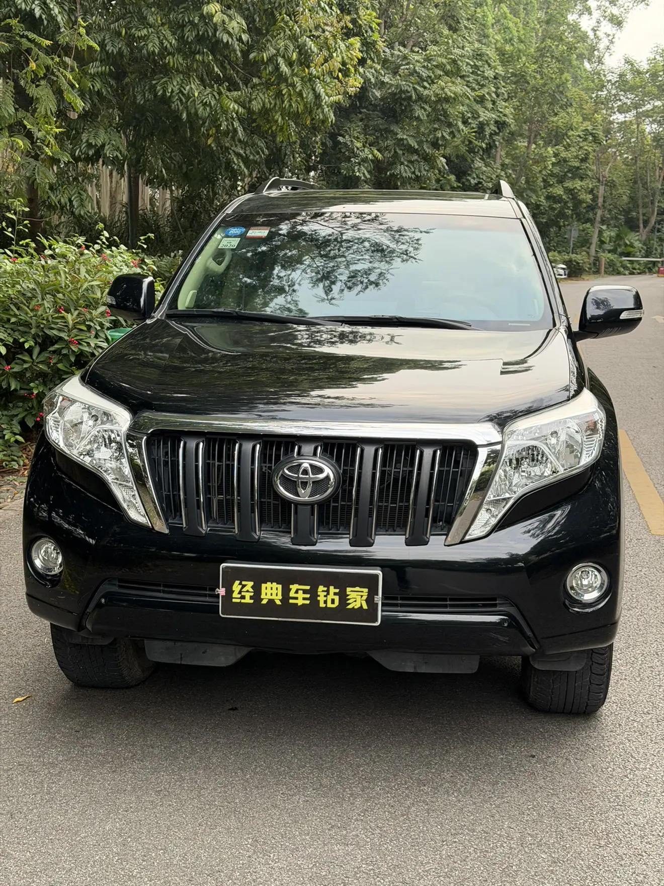 Toyota Prado