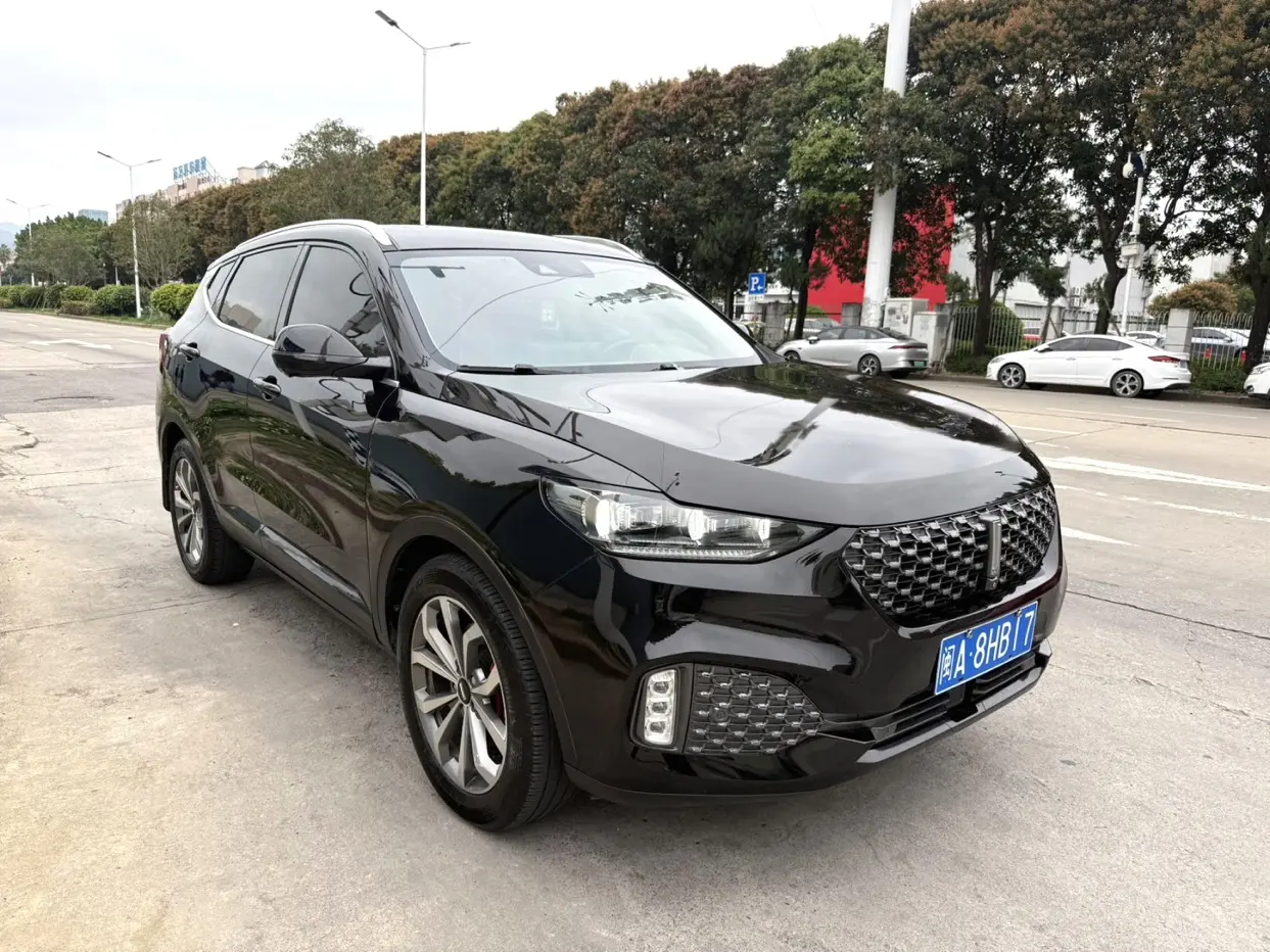 Wey Wei brand VV6